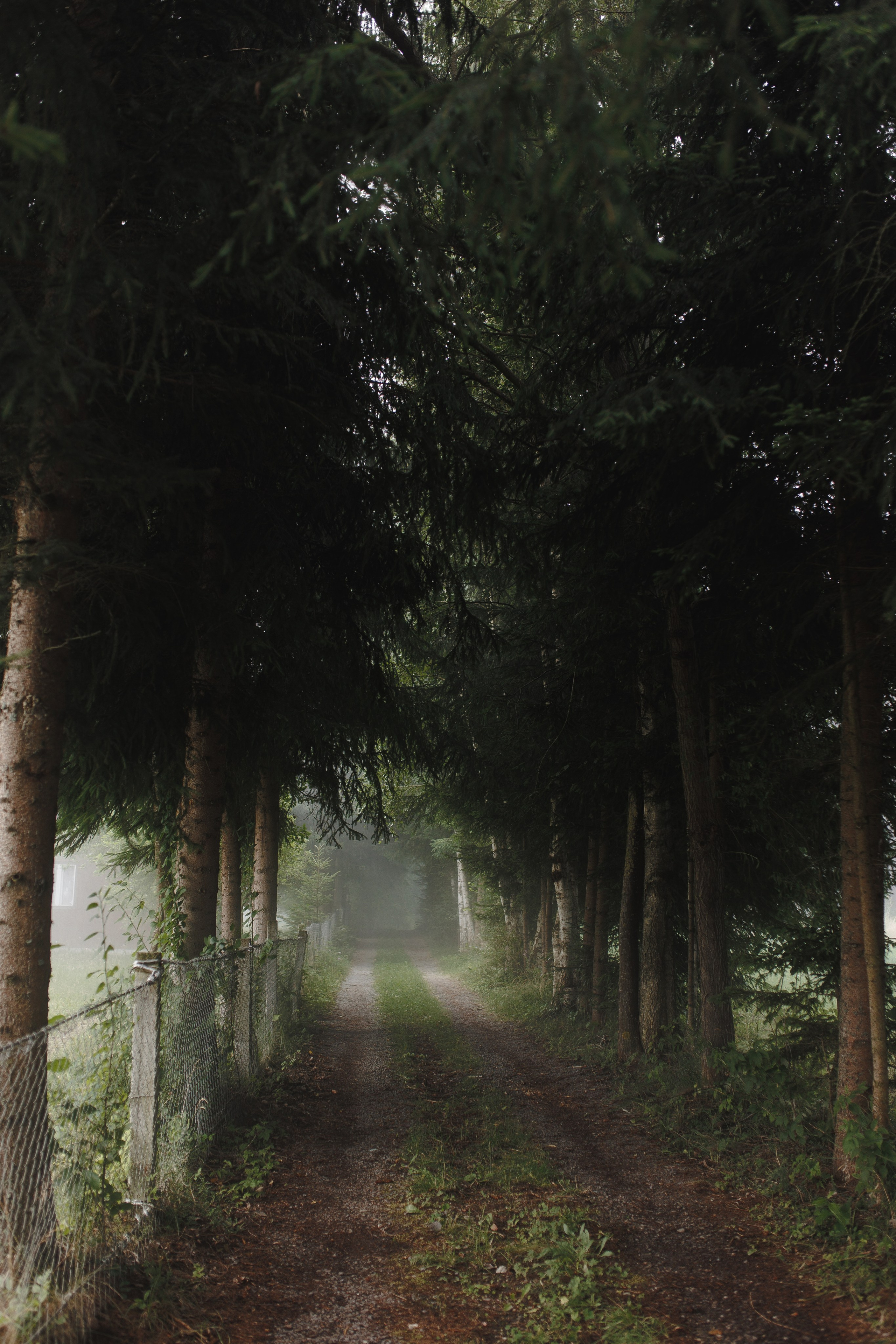 Airbnb photos. Patricia Morenci — Mountain Adventures for the Wild at Heart