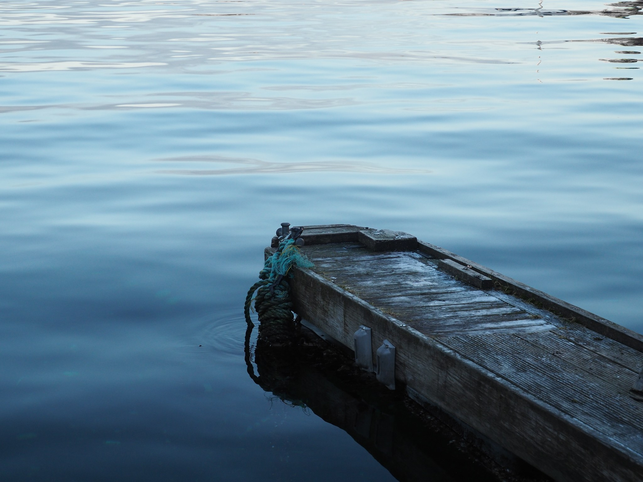 Demyd — art collection