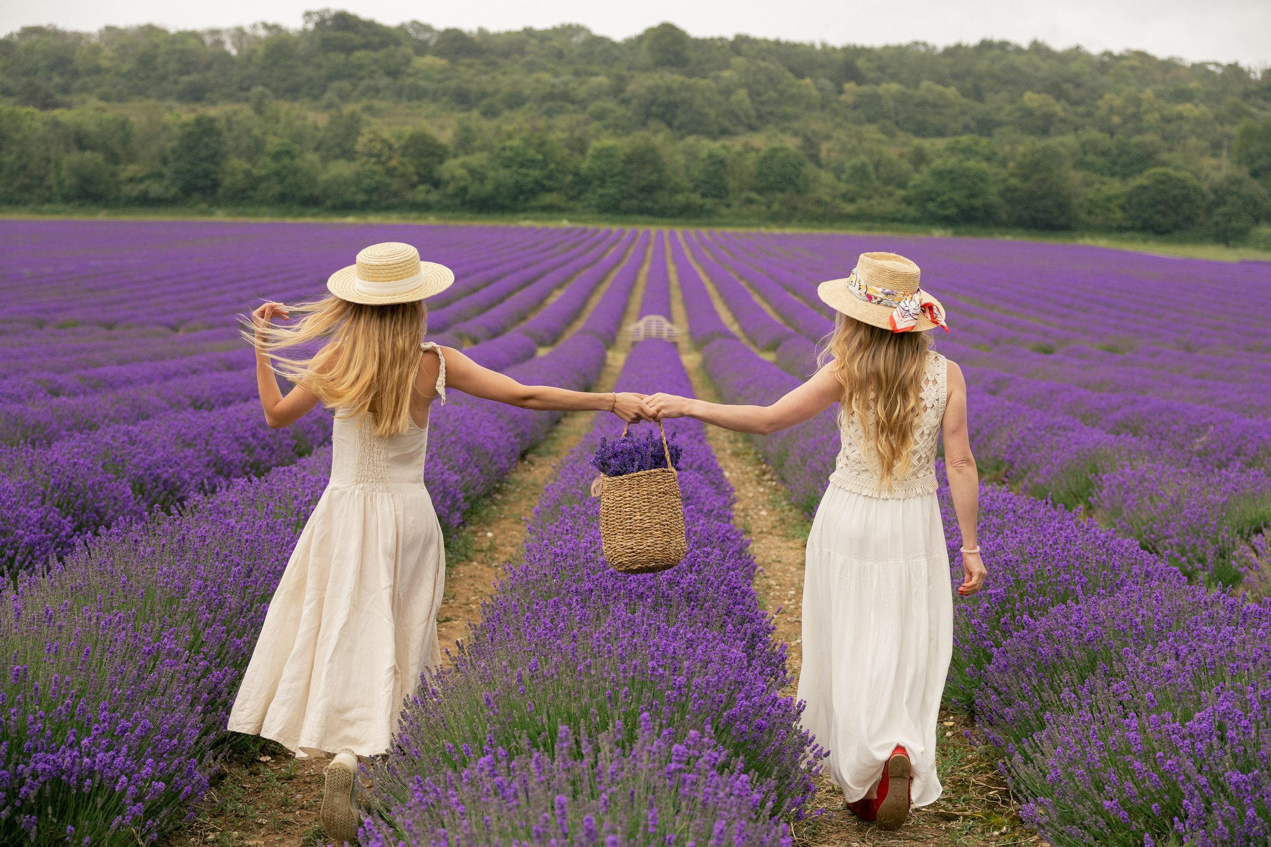 Lavender Picnics. PHOTOGRAPHER IN LONDON