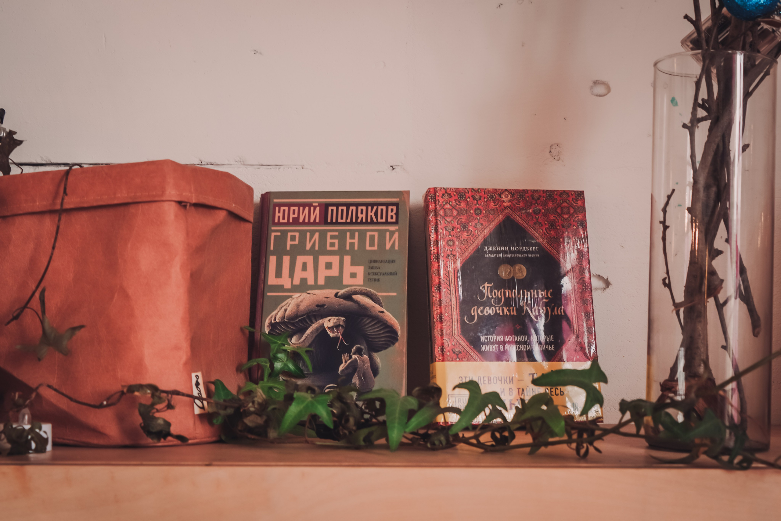 SWAP I ФОТОСУШКА. Диана Сонни фотограф, город Ташкент