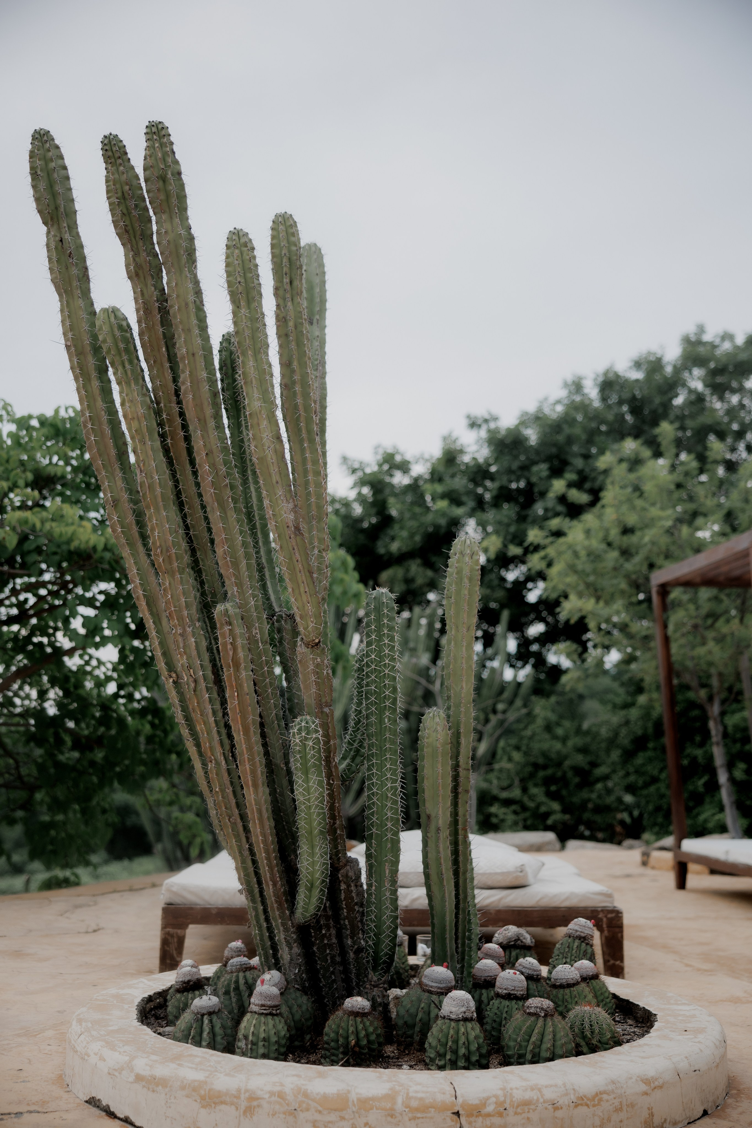 VICTORIA & NUNO. UNTERCIO BODAS