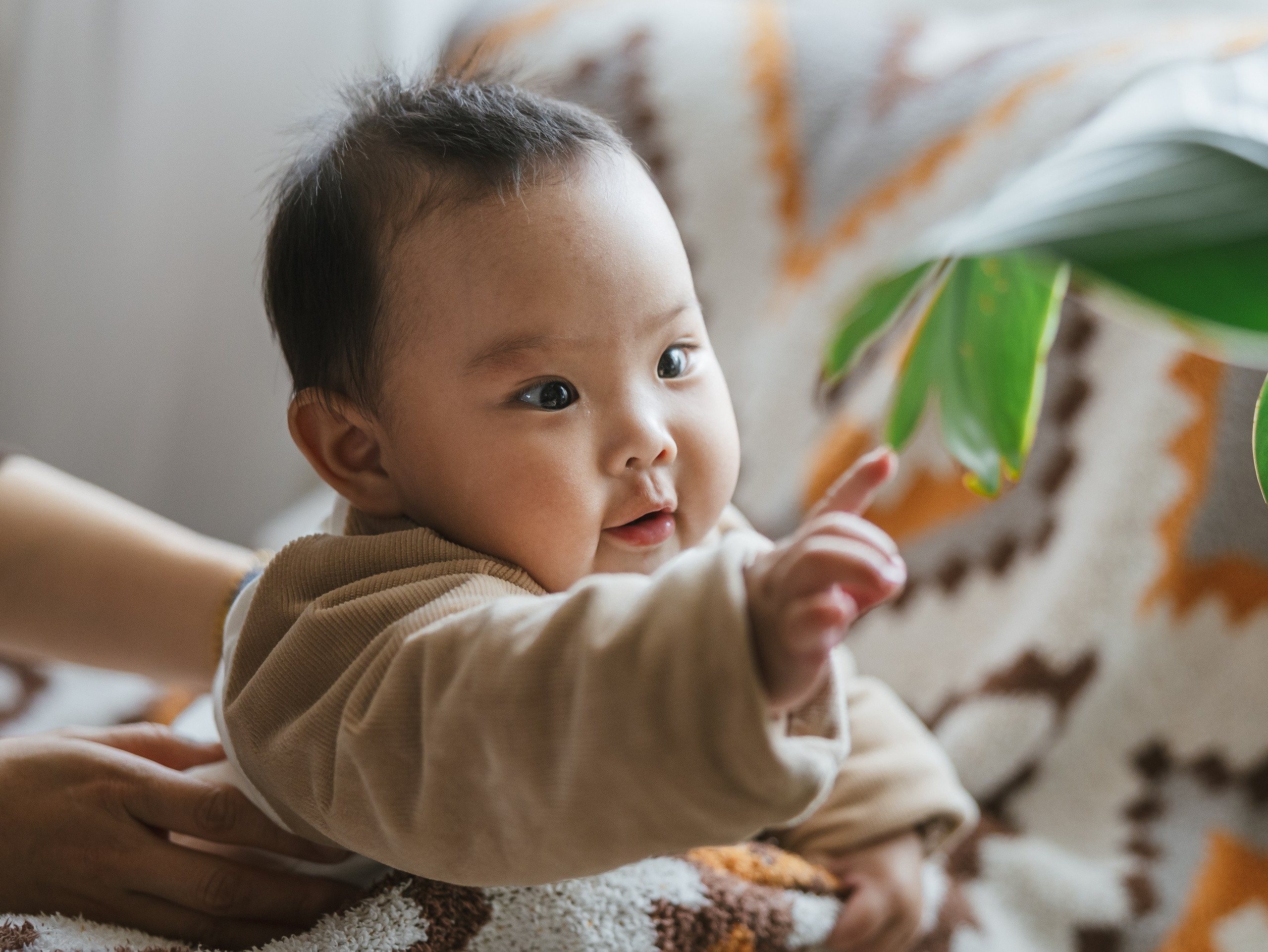 Family photograph in Shanghai. Shanghai Family Photographer Dora