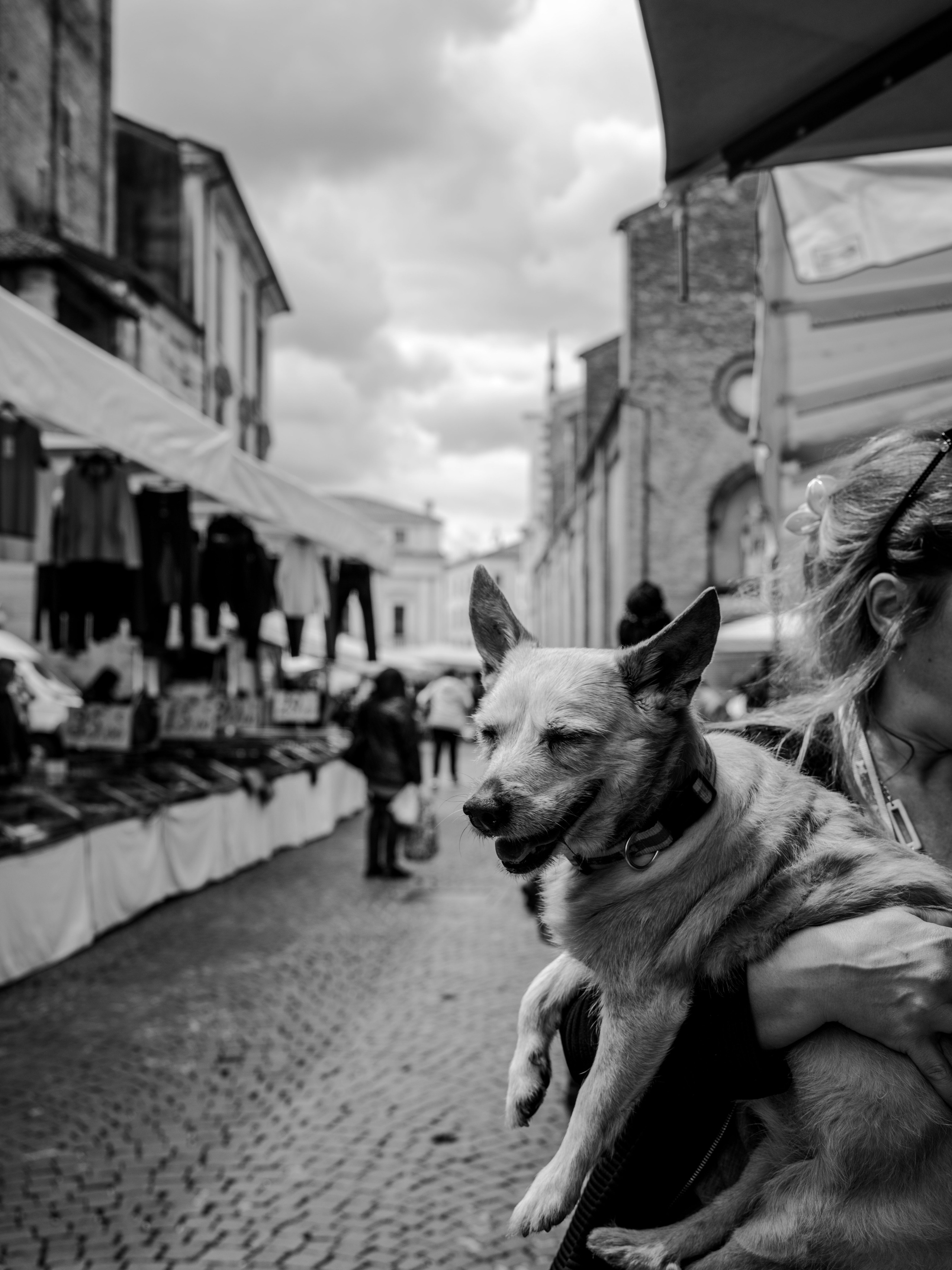 Fotografia di interni e architettura | Italia, Verona, Milano, Como, Garda. Ale Kor – Fotografo in Italia | Como, Garda, Verona, Dolomiti