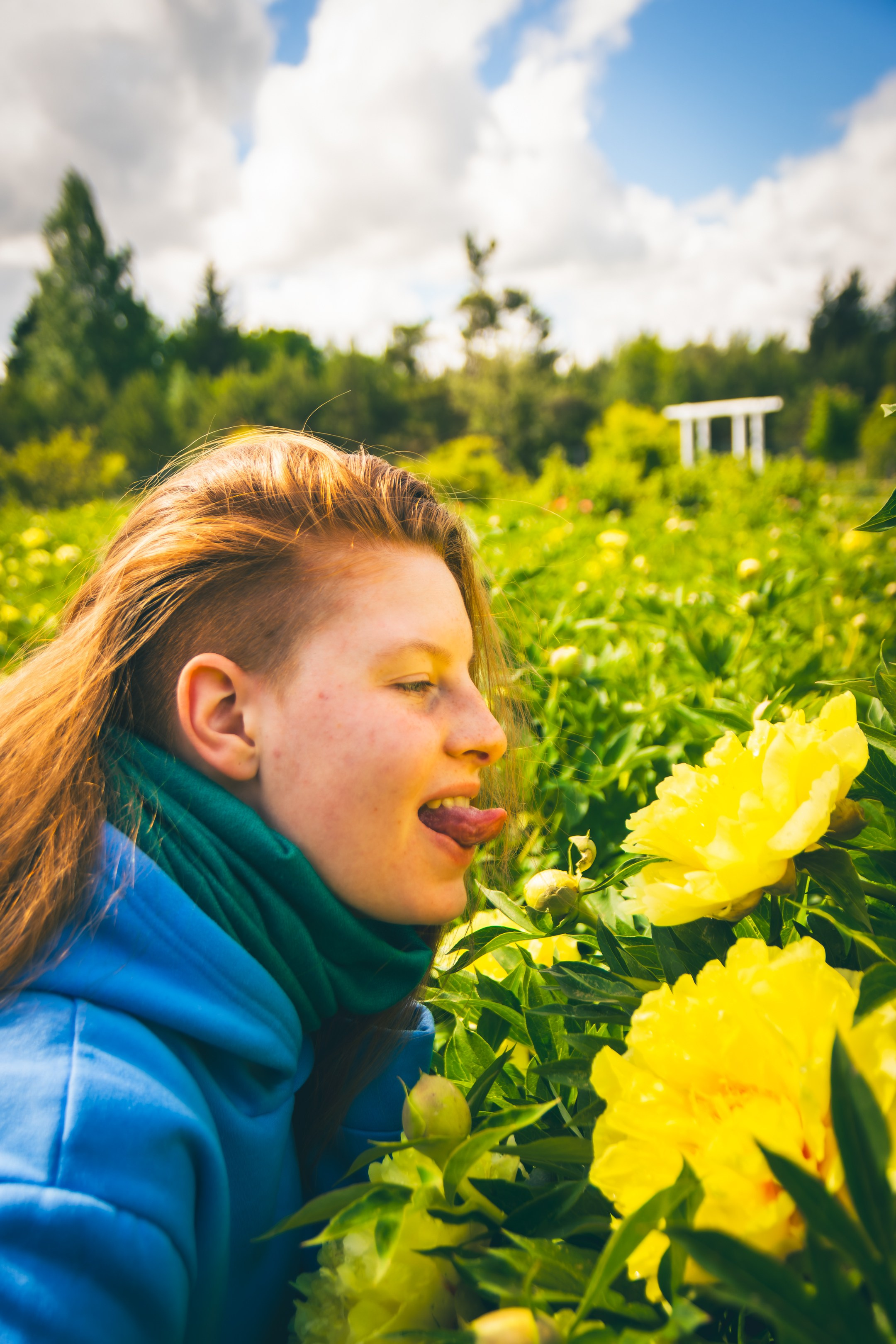 Saaremaa, reis (Nika A.). Nebula 25 — Fotod teie hingele
