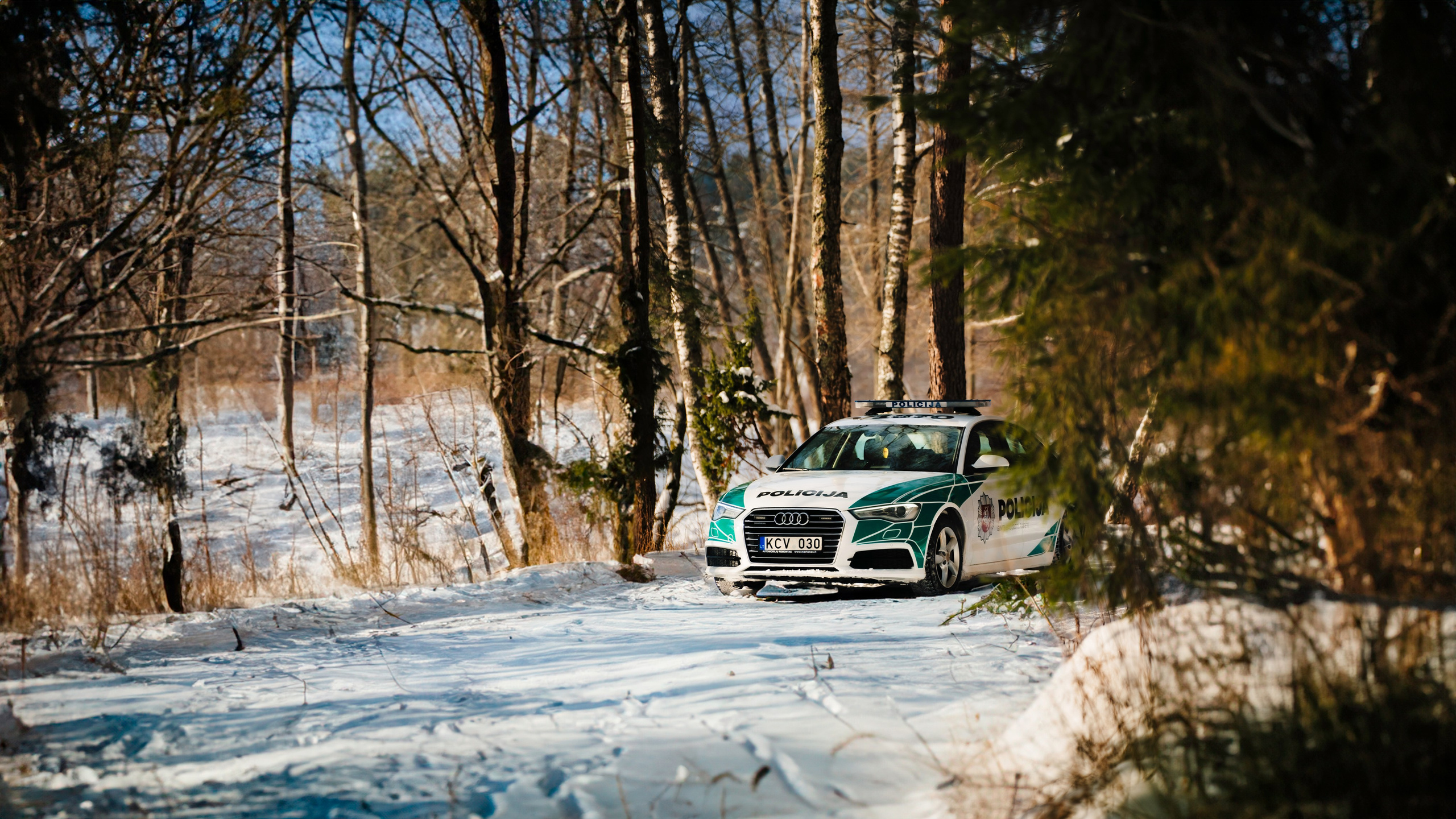 Police Cars. OnePIXEL