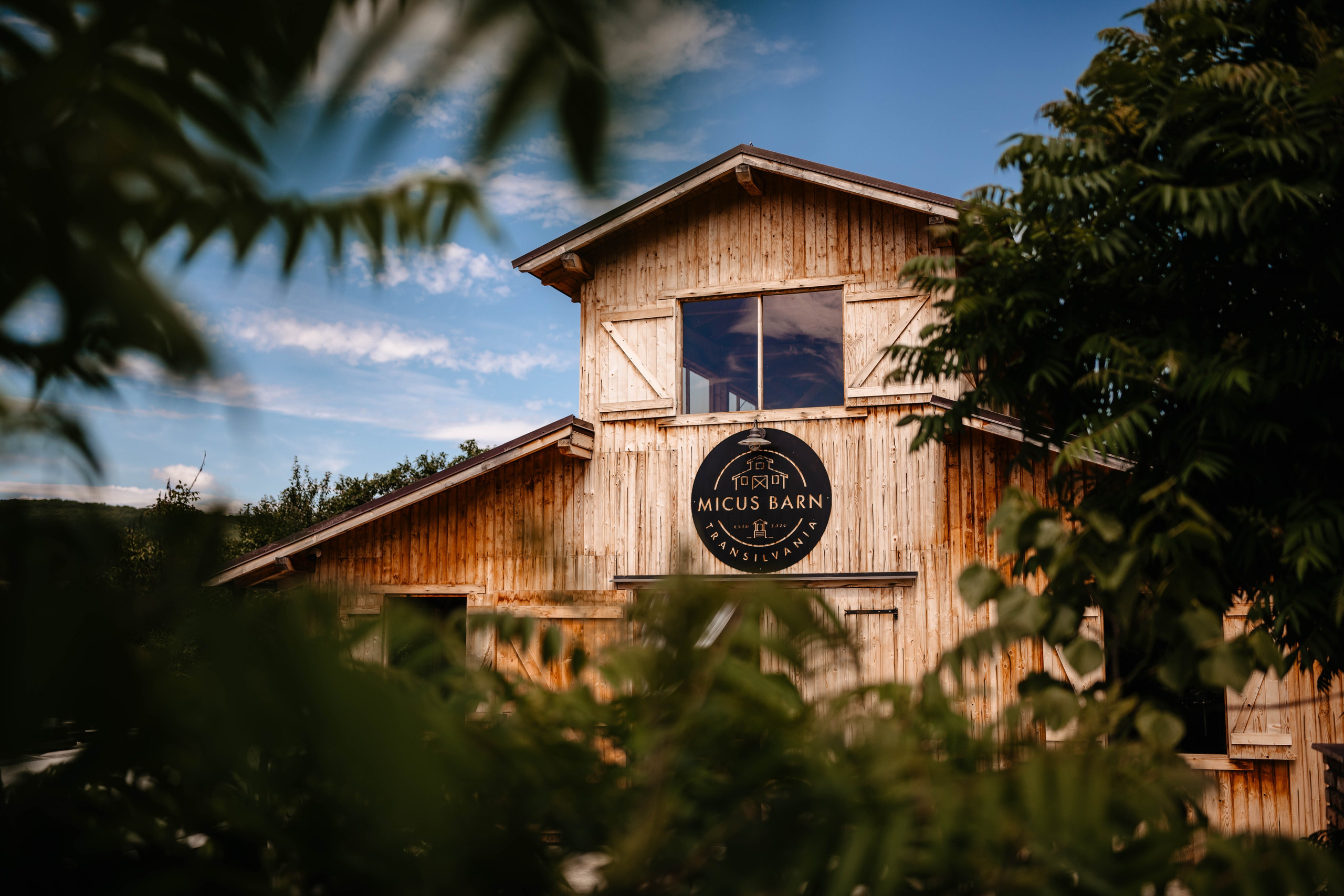 Radu Rahovan Fotograf de nuntǎ Cluj