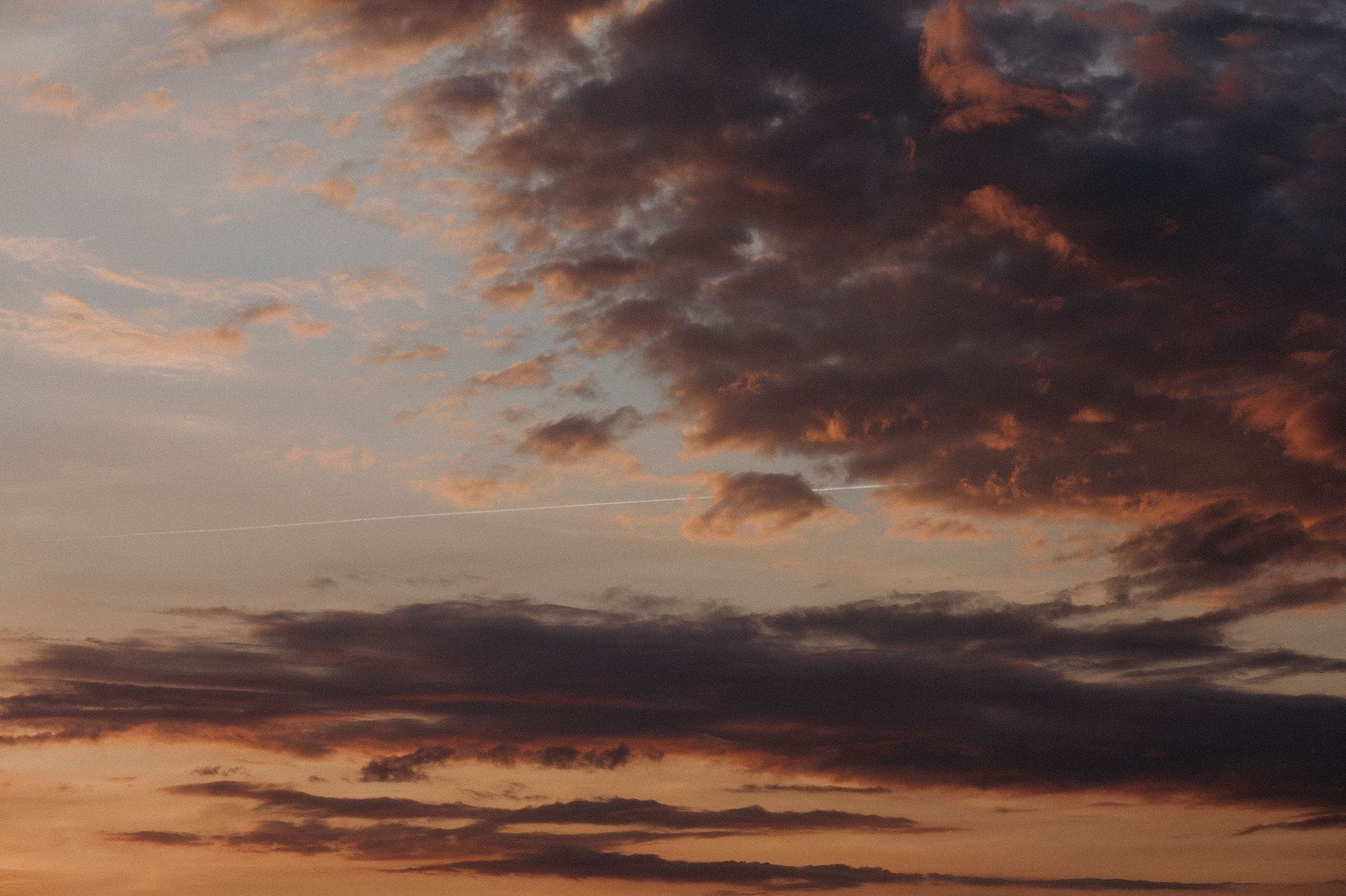 Миша и Ксюша. Фотограф Мила Ромашкина