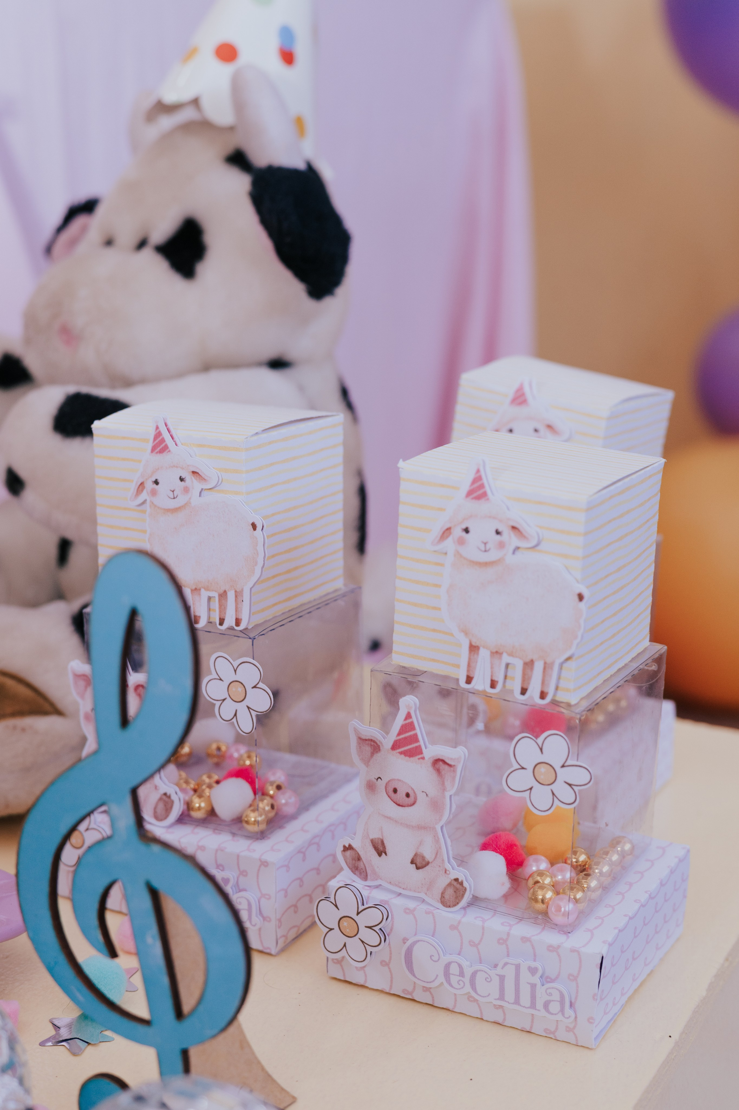 Cecília 2 anos. Fotografia de família e parto