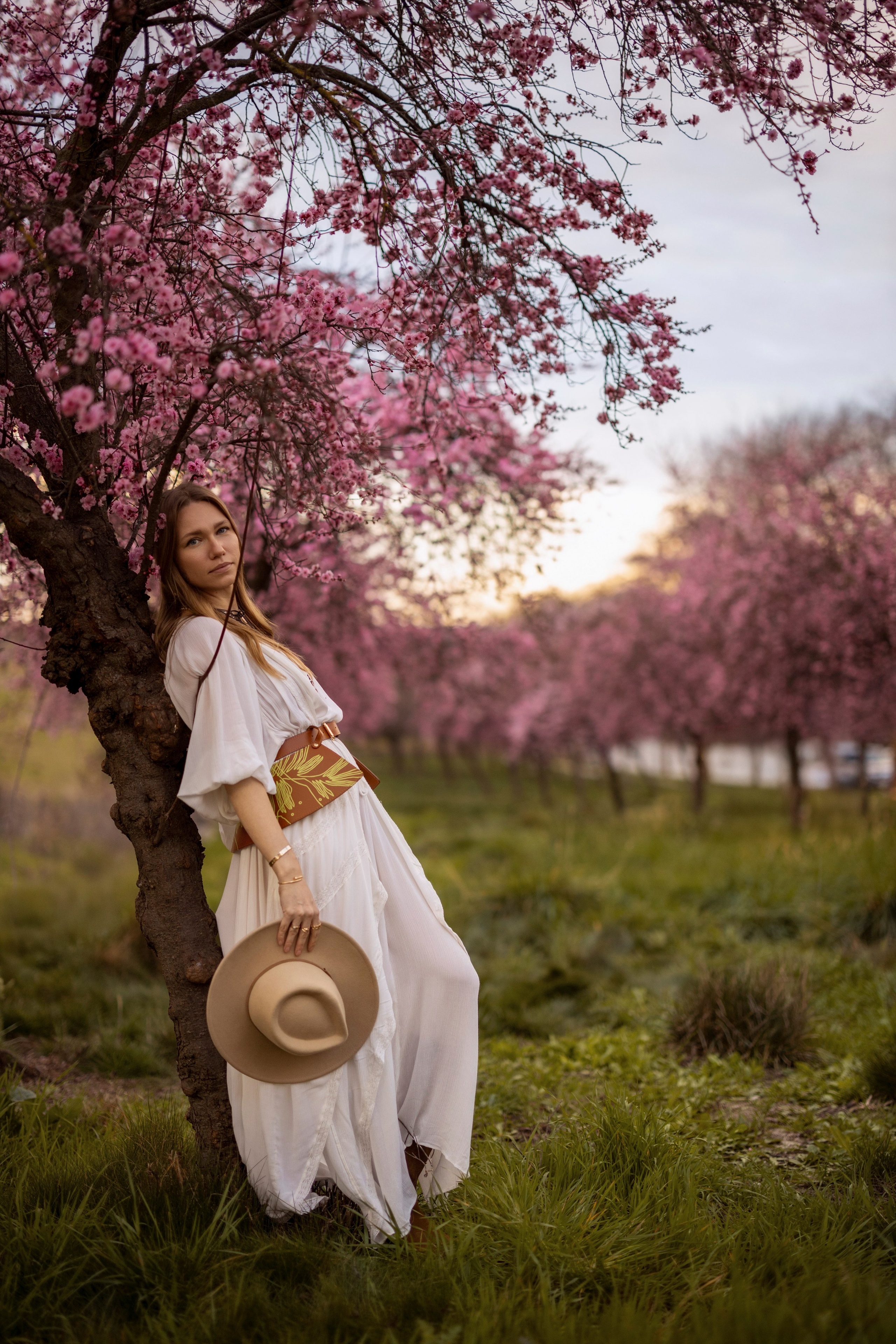 Plum Blossom. Bay Area Photographer: family, maternity, love story, wedding