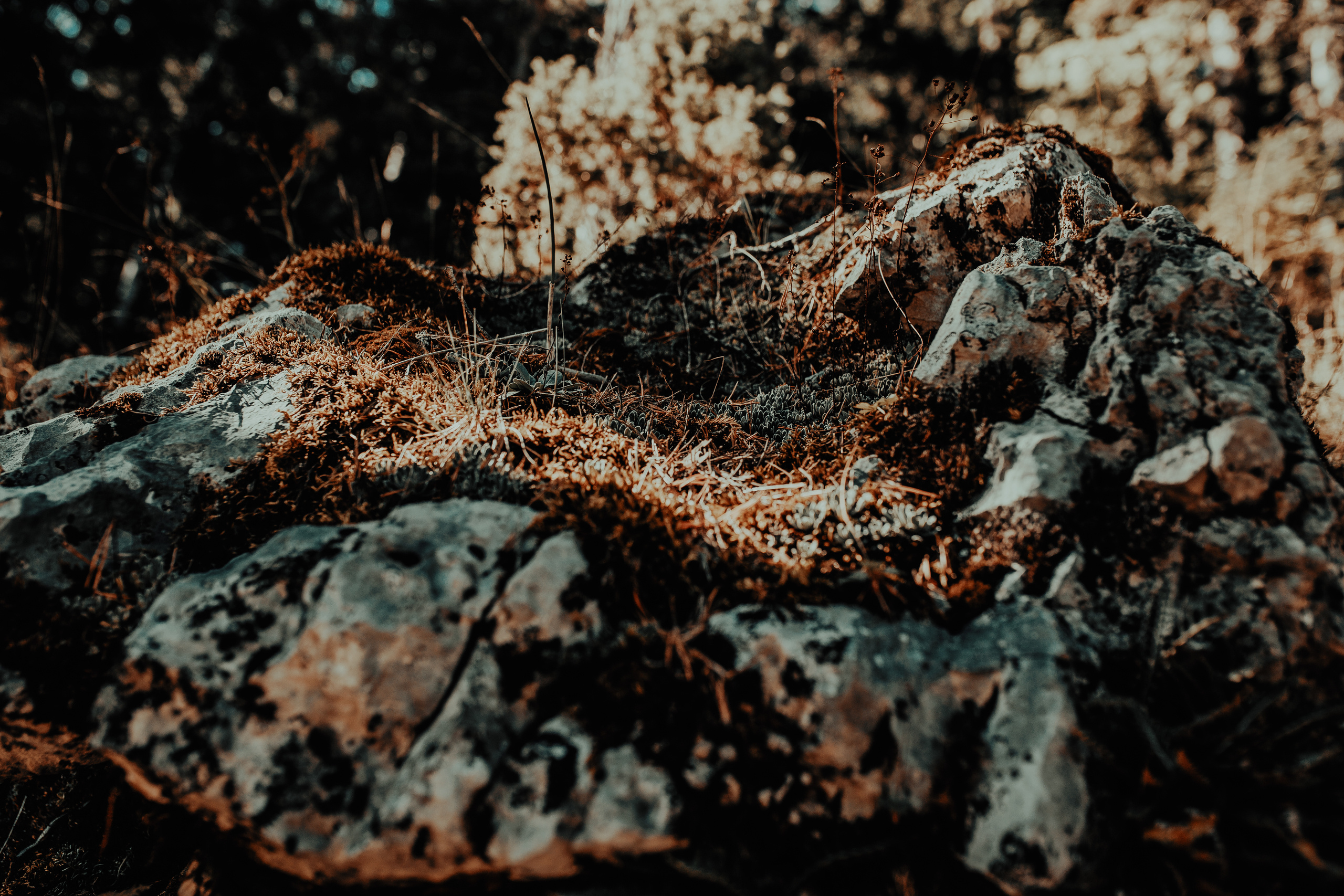 Žabljak — Montenegro. Mark Smilyanic | Portrait and Adventure Photographer from Belgrade