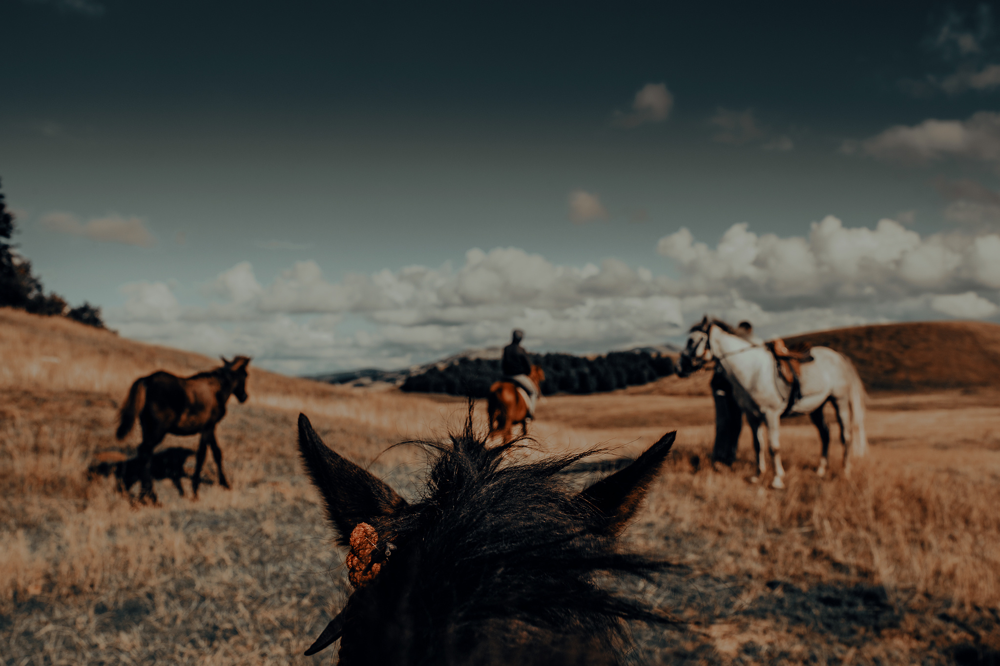 Žabljak — Montenegro. Mark Smilyanic | Portrait and Adventure Photographer from Belgrade
