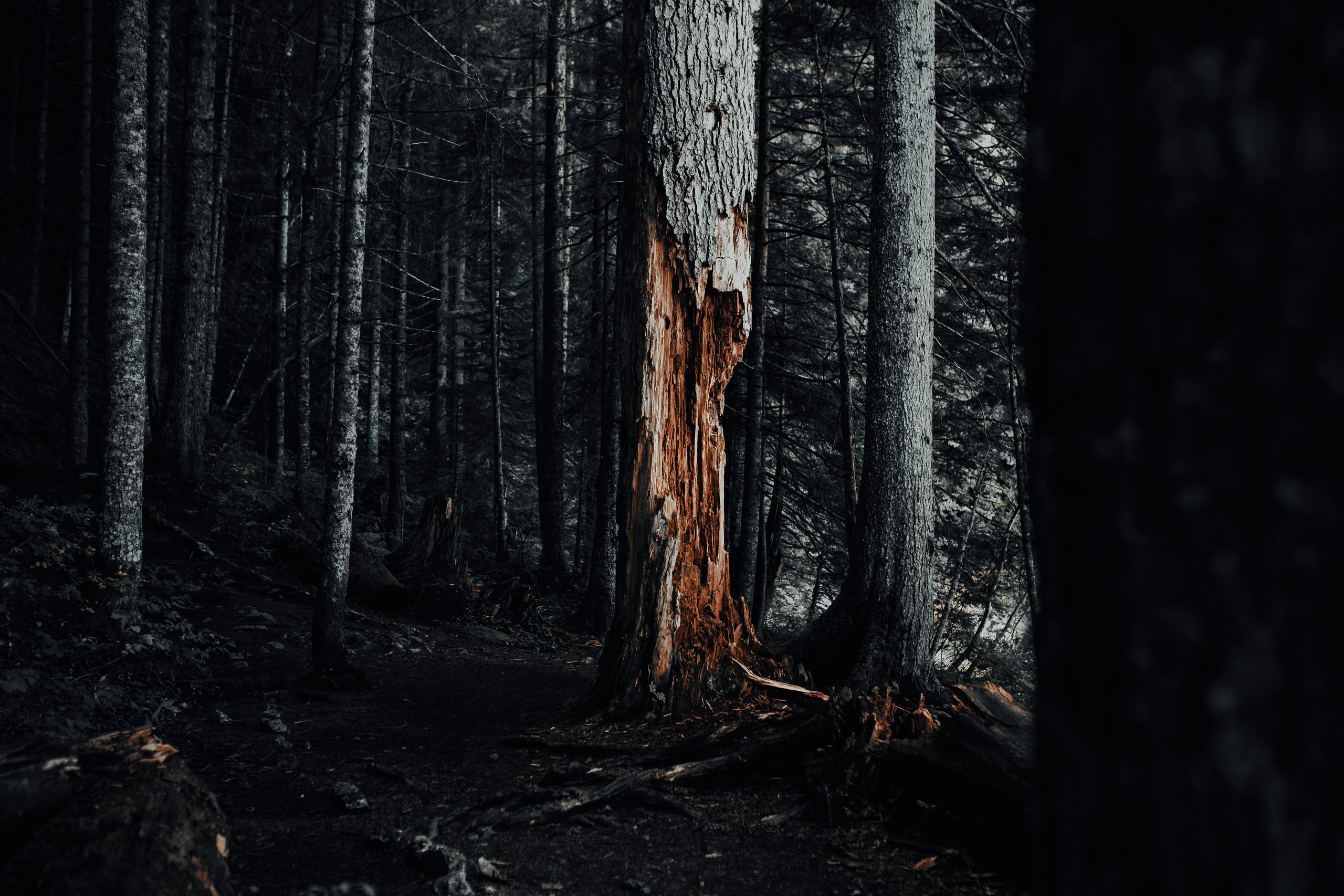 Žabljak — Montenegro. Mark Smilyanic | Portrait and Adventure Photographer from Belgrade