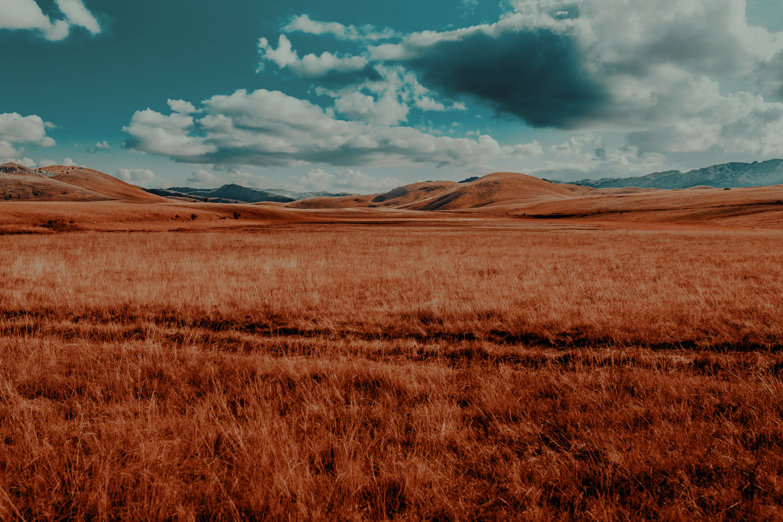 Žabljak — Montenegro. Mark Smilyanic | Portrait and Adventure Photographer from Belgrade