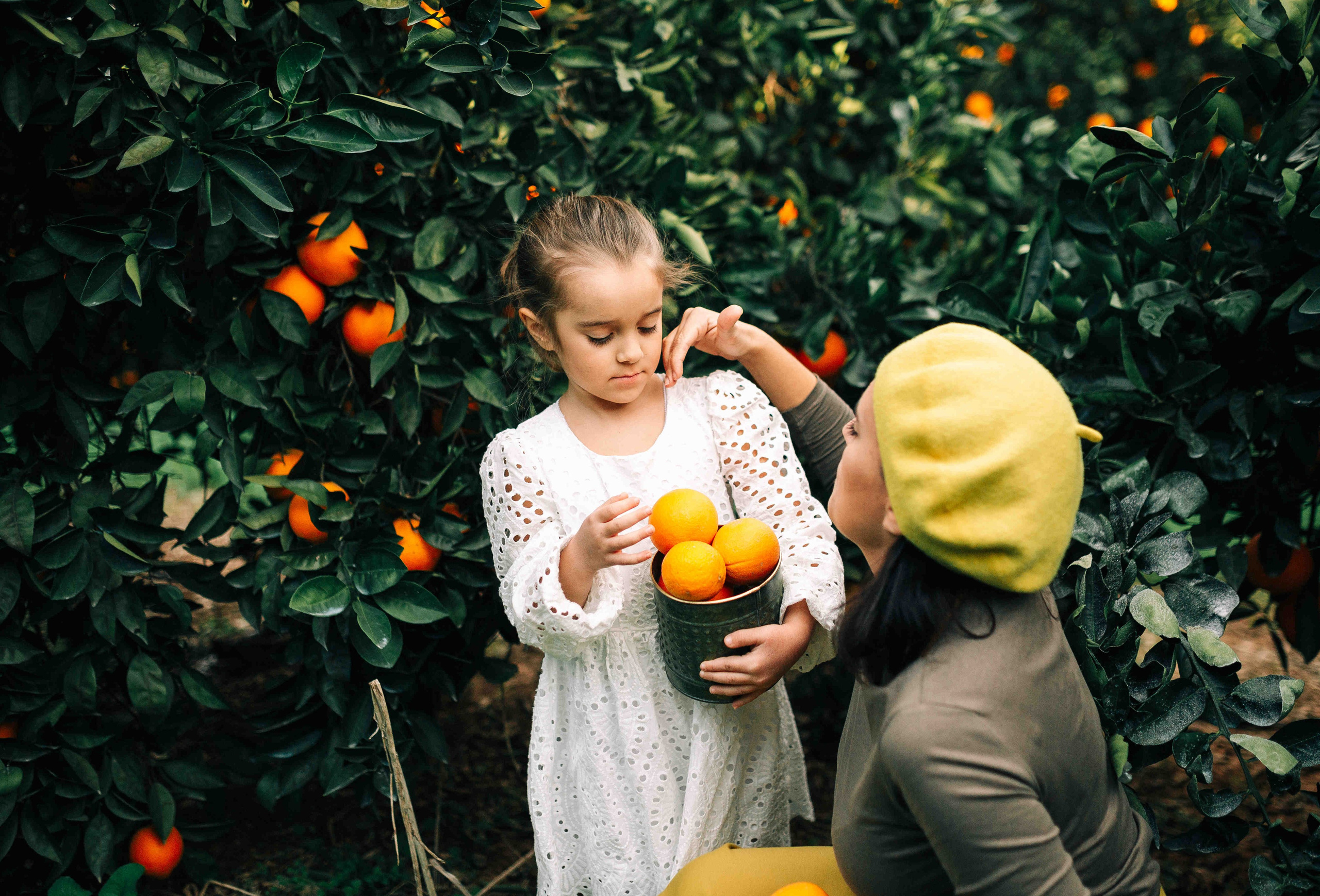 MANDARNINE GARDEN. Https://shi-photo.com/