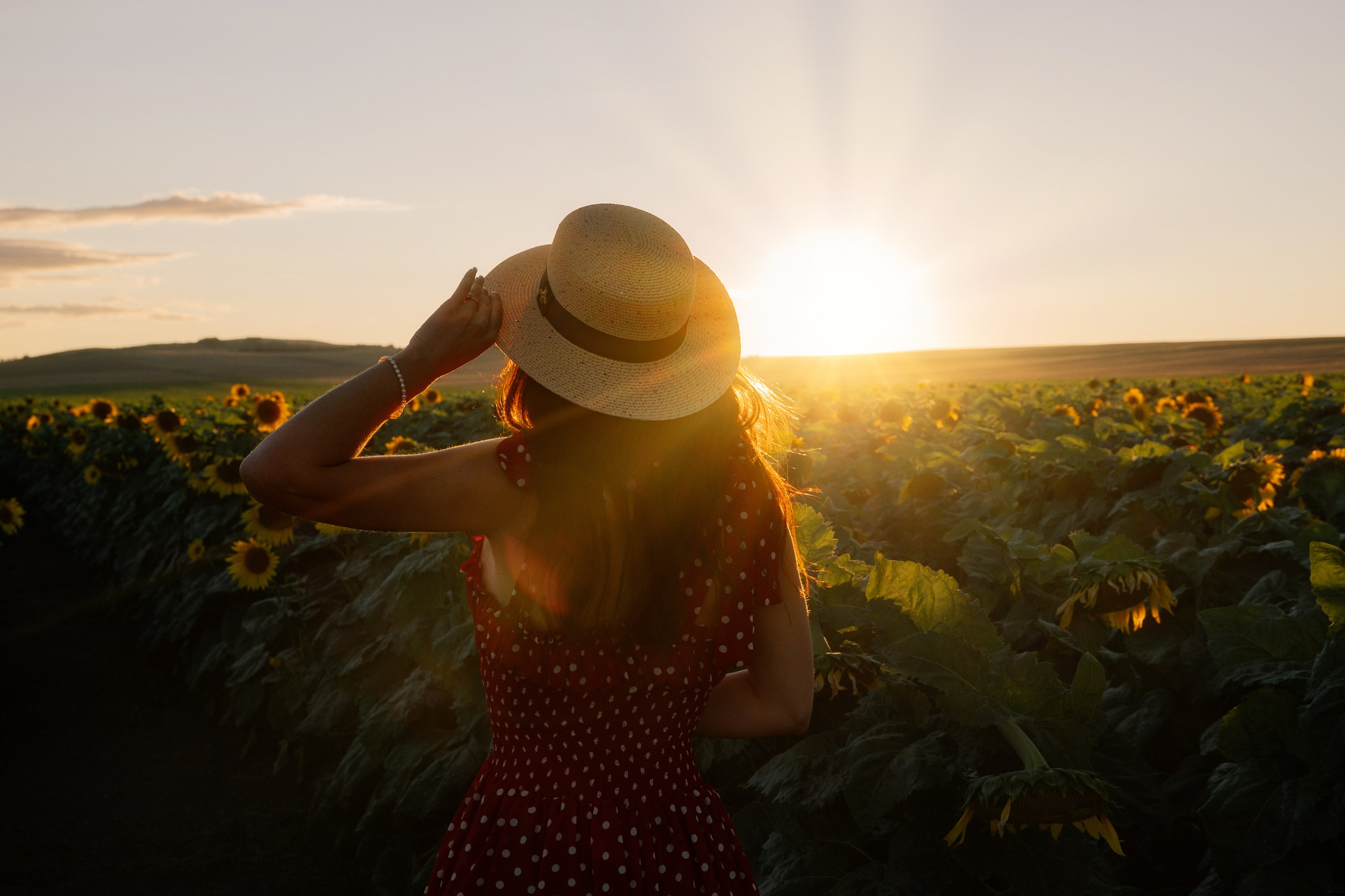 Sunflower field portrait of female model at sunset by Marbella portrait photographer