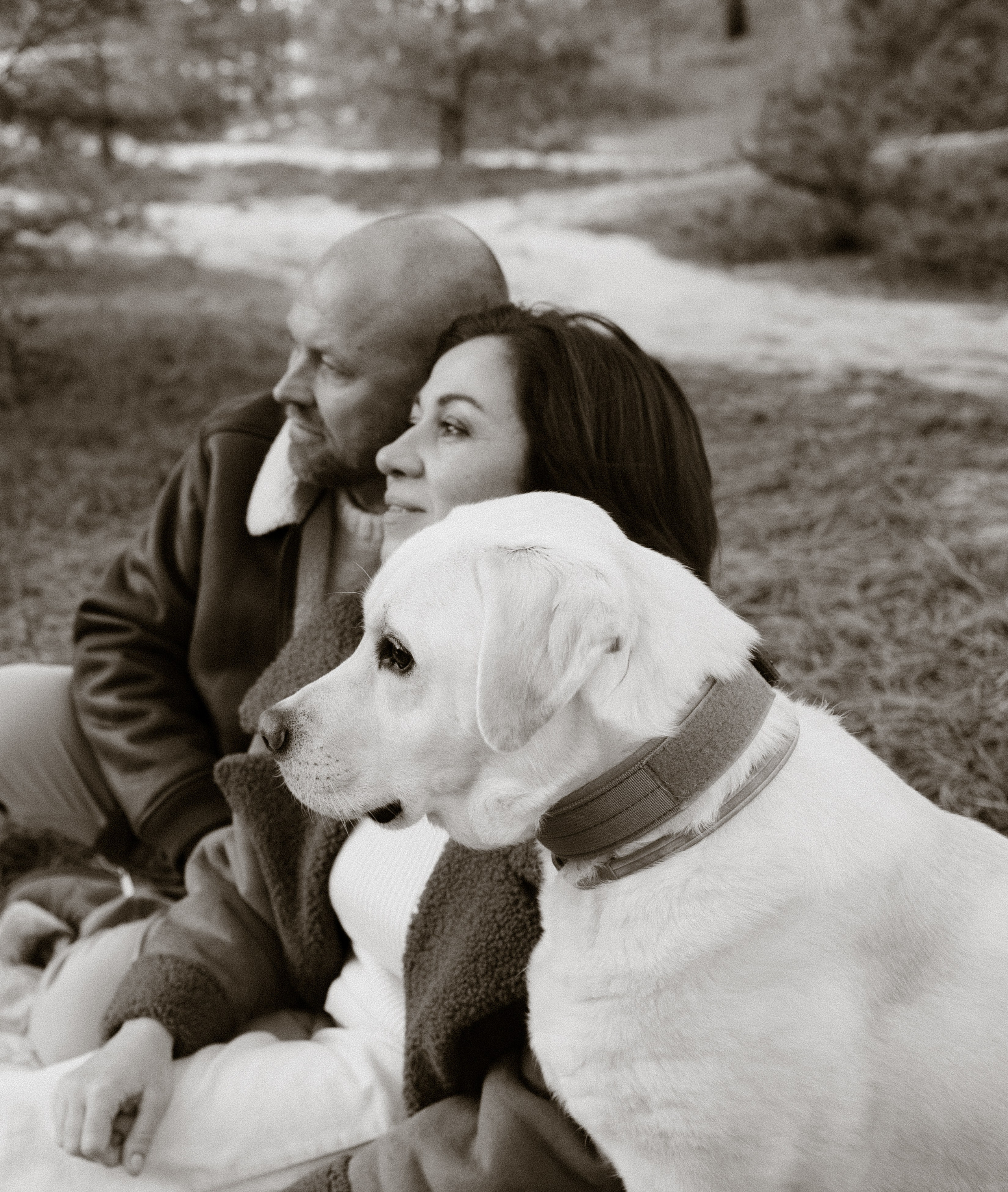 Couple photosessions (Love story, proposal, engagement)