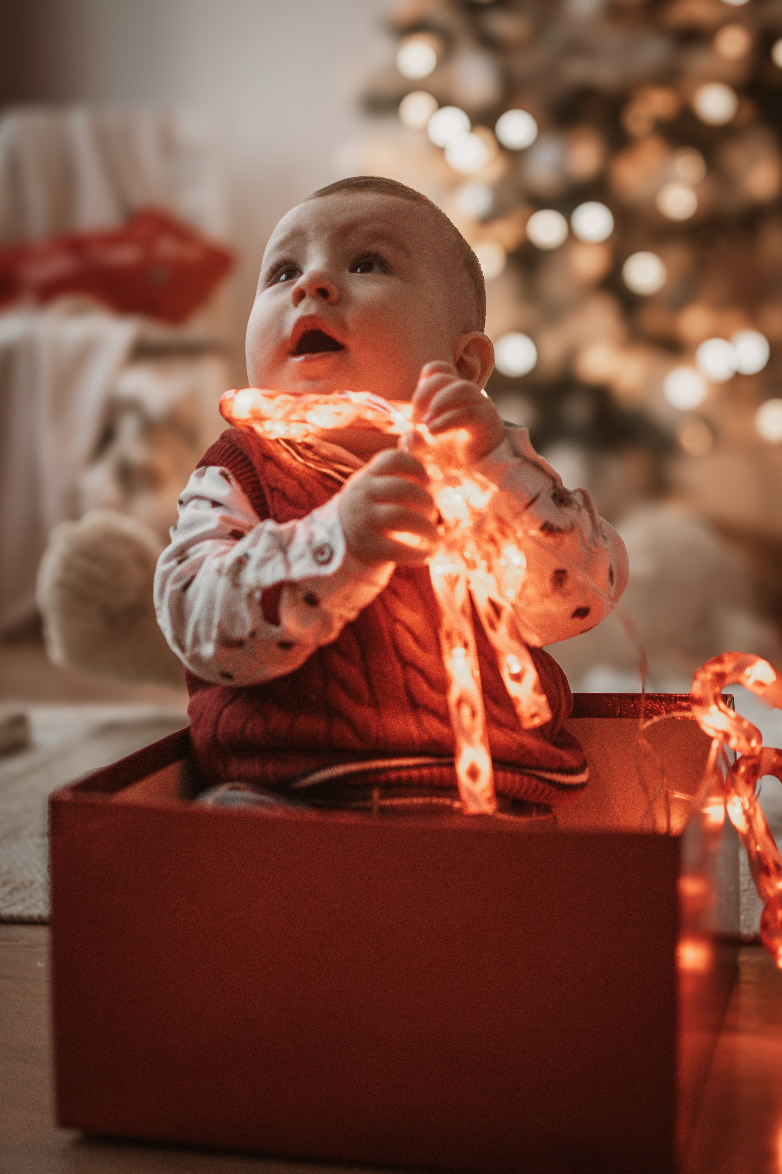 Nevena & Aleksandar, Porodično fotografisanje. BambinaaPhotography