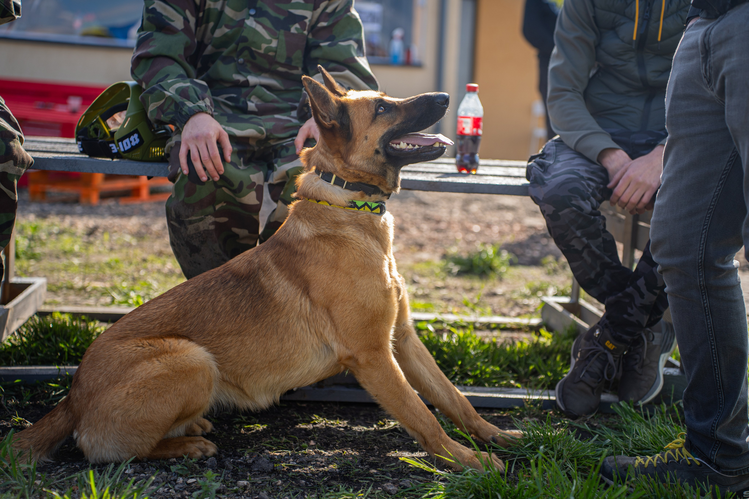 Deschidere Arena Paintball Brasov. Adelinne