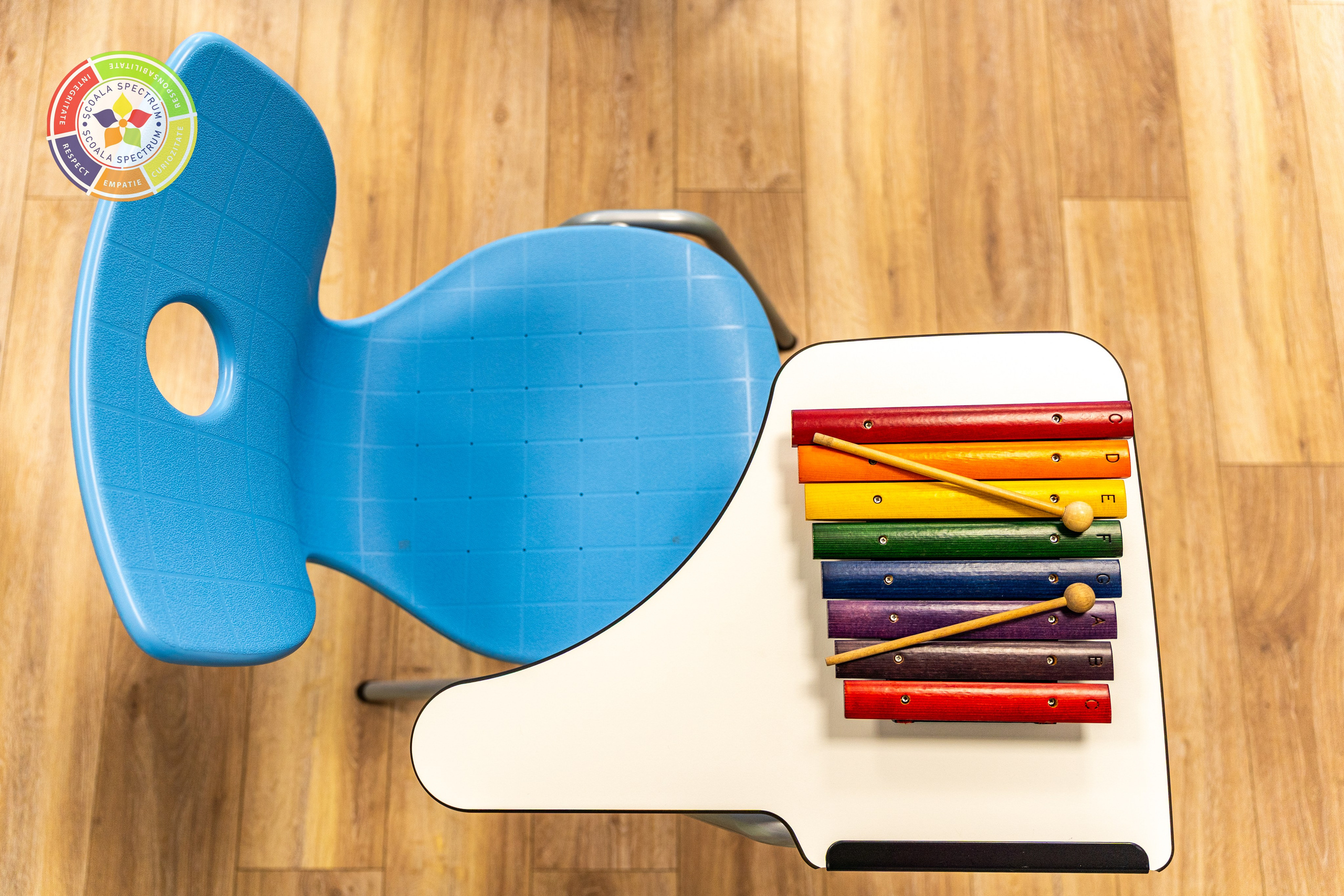 Scoala Gimnaziala Spectrum Constanta. Adelinne