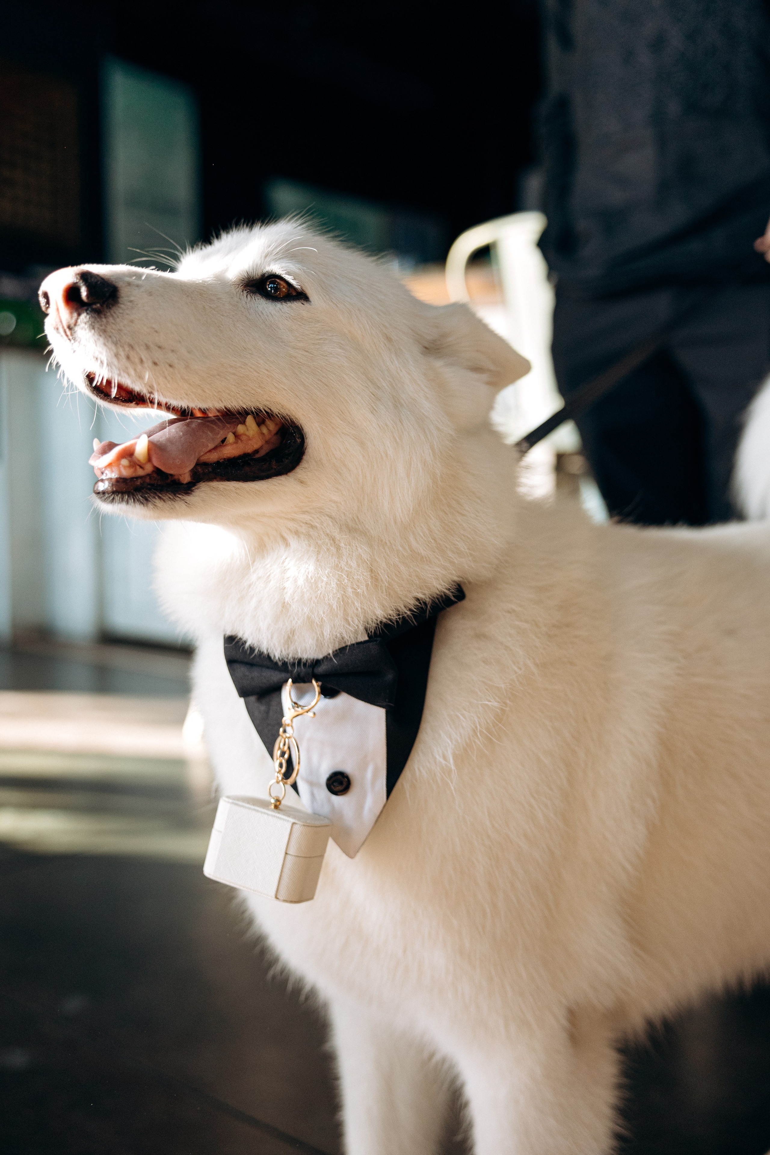 *. Wedding and family photographer San Diego