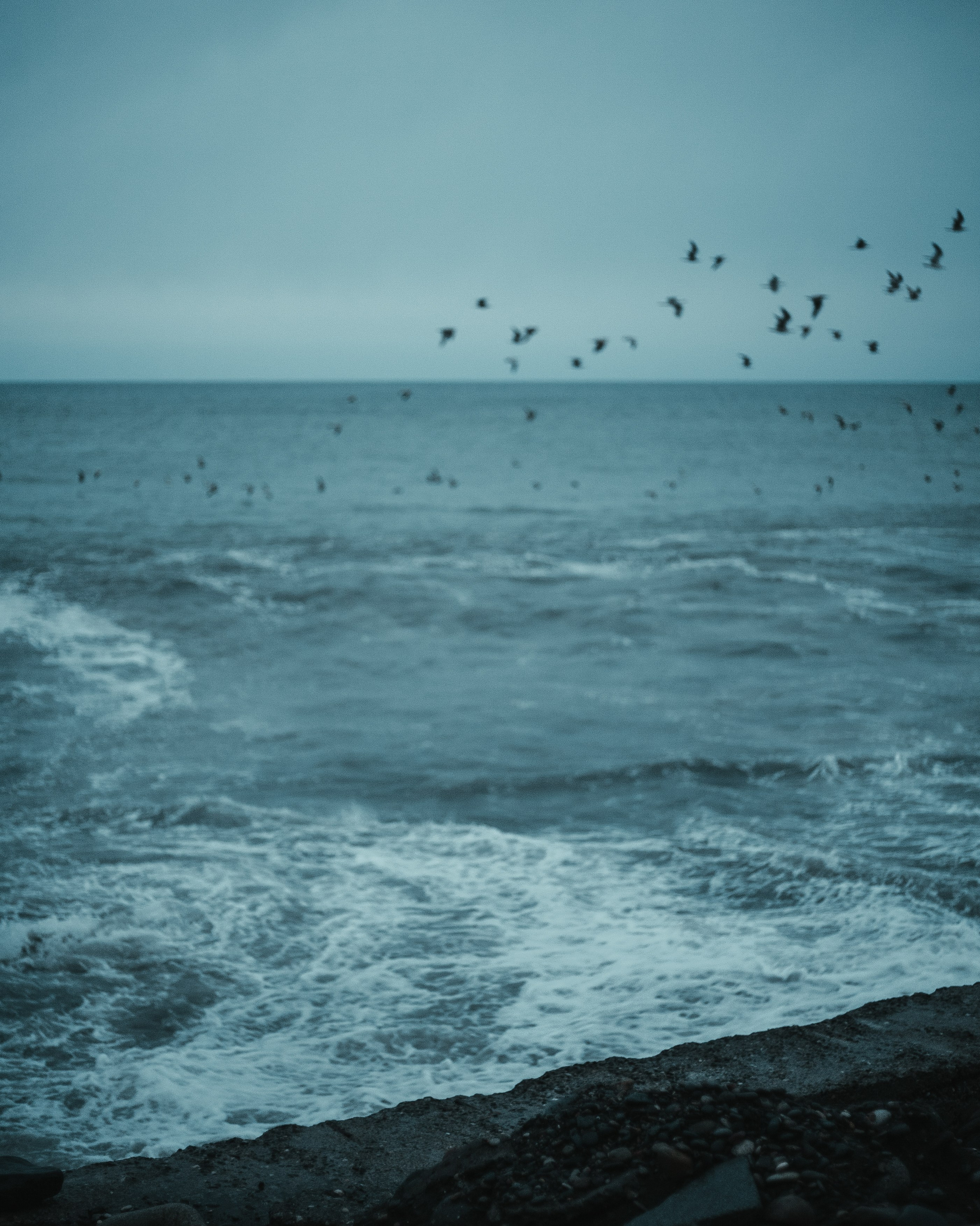 B A T U M I. Bspander