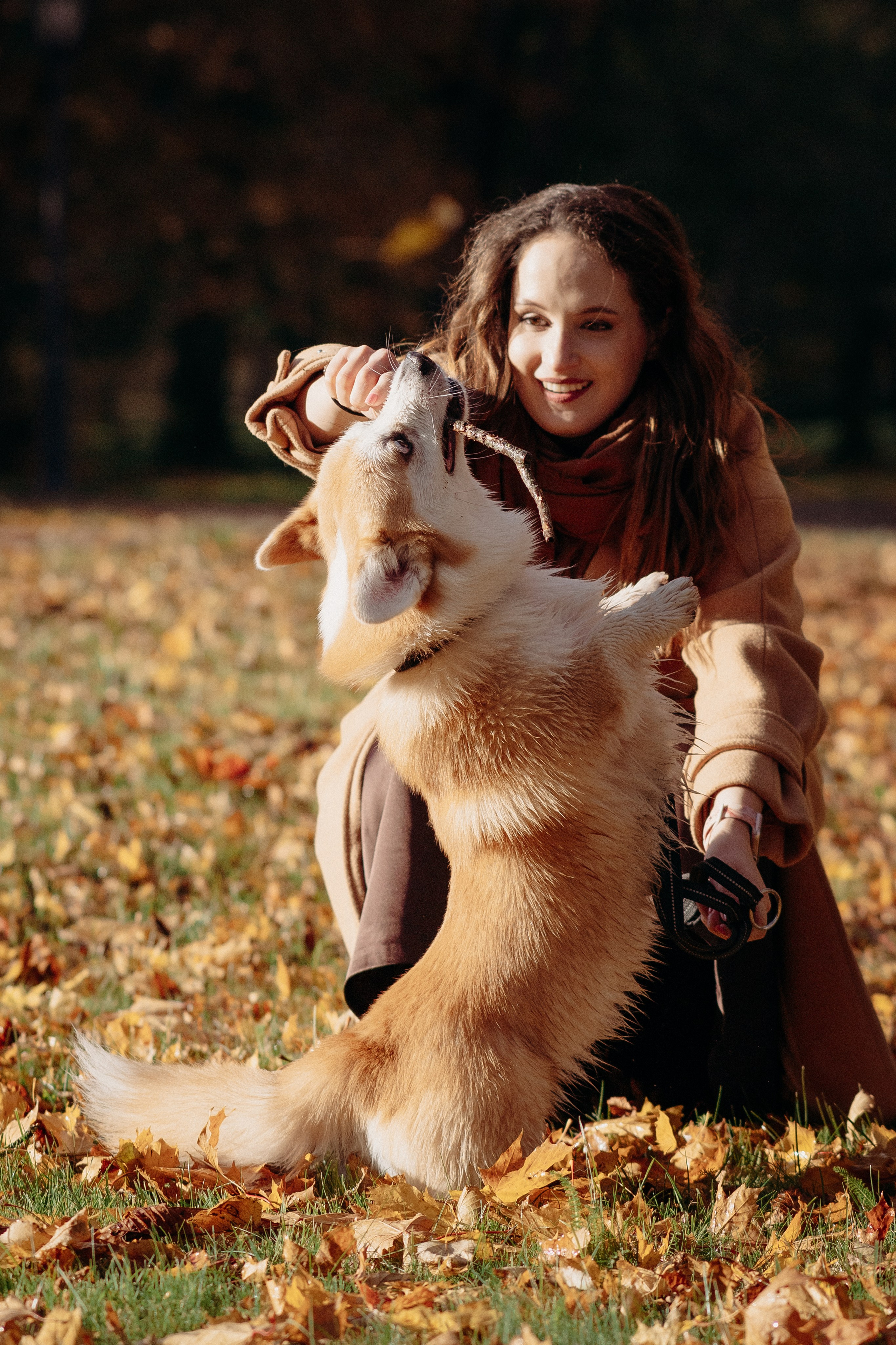 Liisa, Alexander & Marsel. Фотограф-анималист в Таллинне, Катя Лайсаар