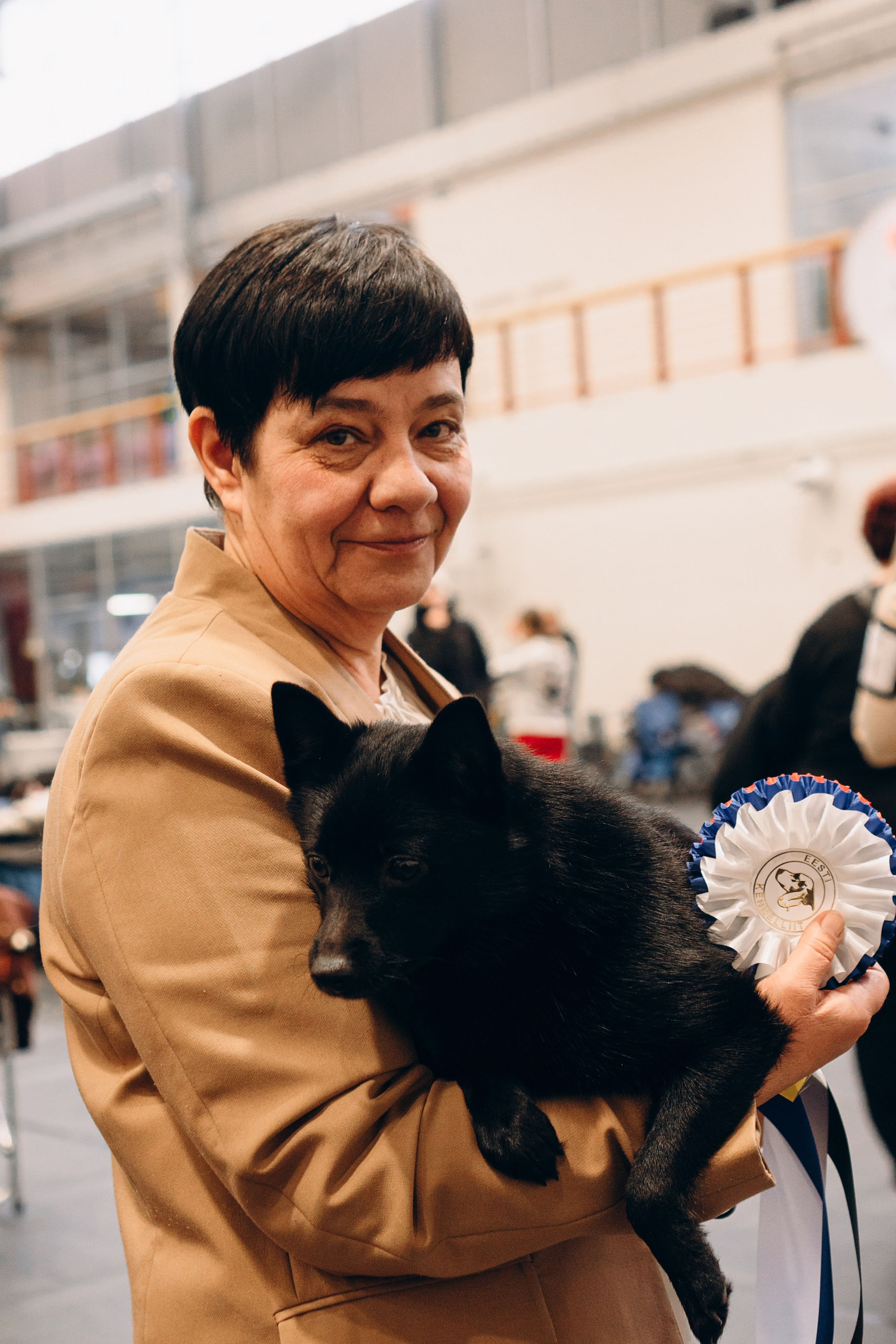 Pärnu dog weekend photo report. Kat Laisaar — Pet photographer in Tallinn