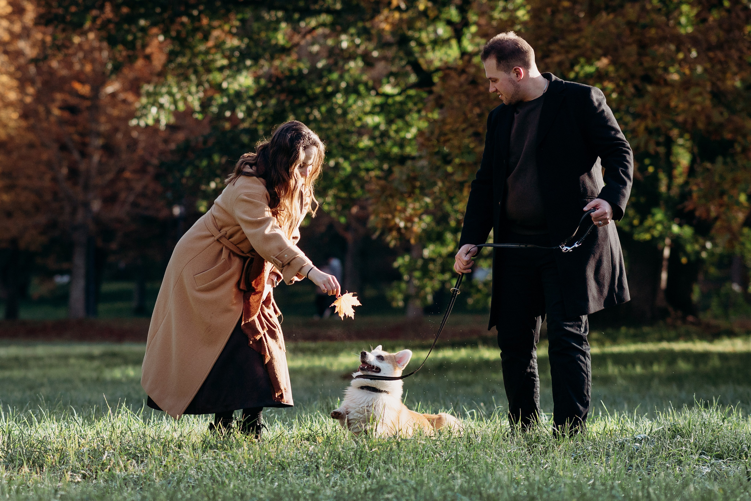 Liisa, Alexander & Marsel. Фотограф-анималист в Таллинне, Катя Лайсаар