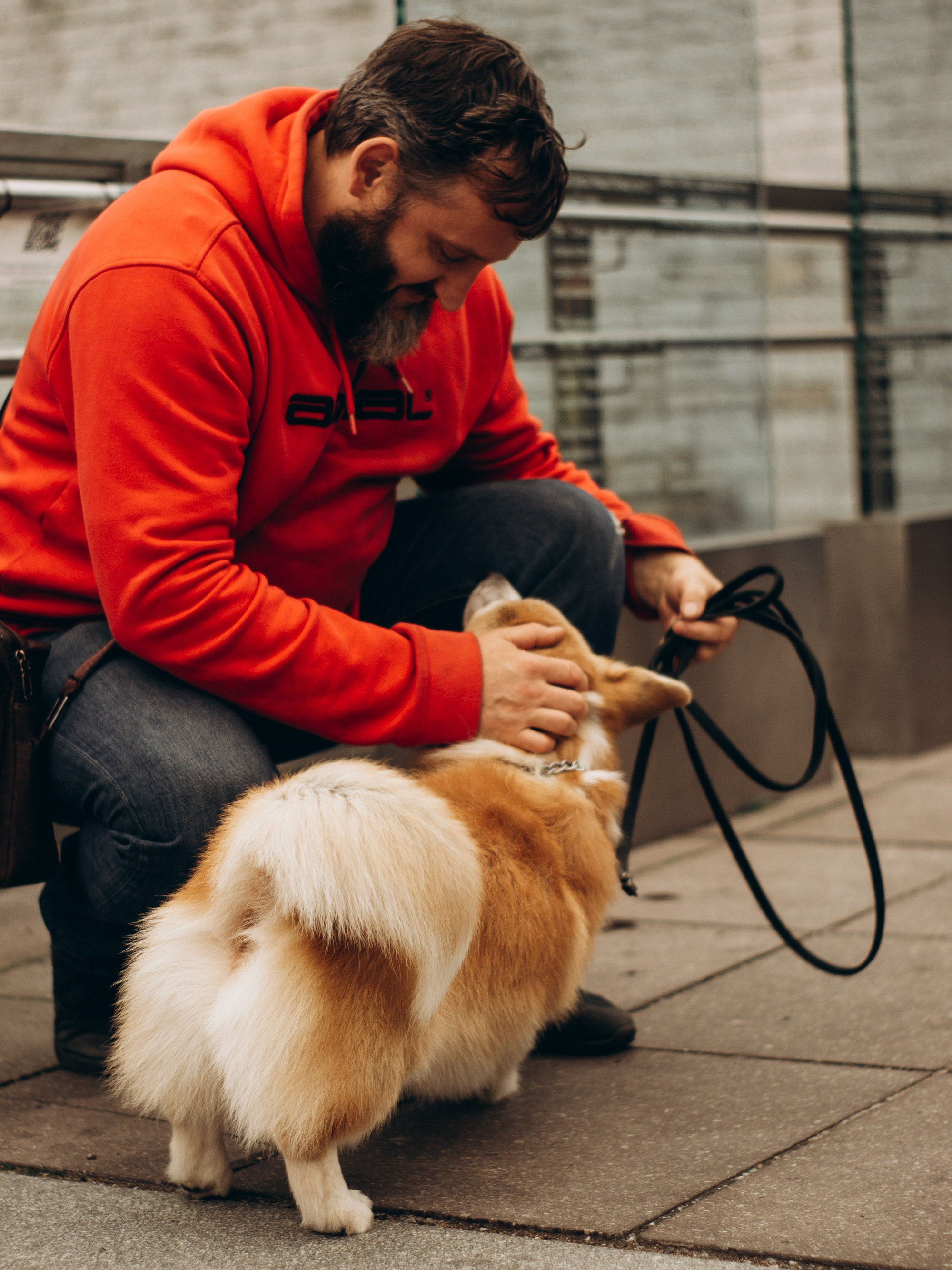 Corgi party, september. Kat Laisaar — Pet photographer in Tallinn