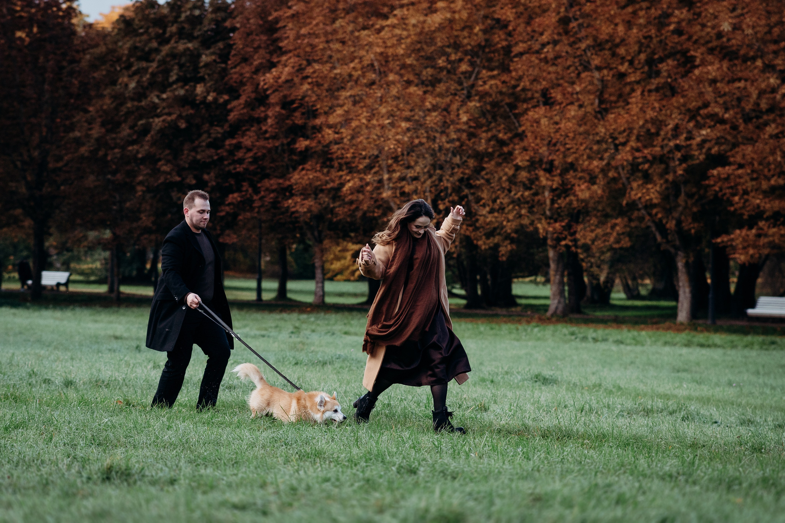 Liisa, Alexander & Marsel. Фотограф-анималист в Таллинне, Катя Лайсаар
