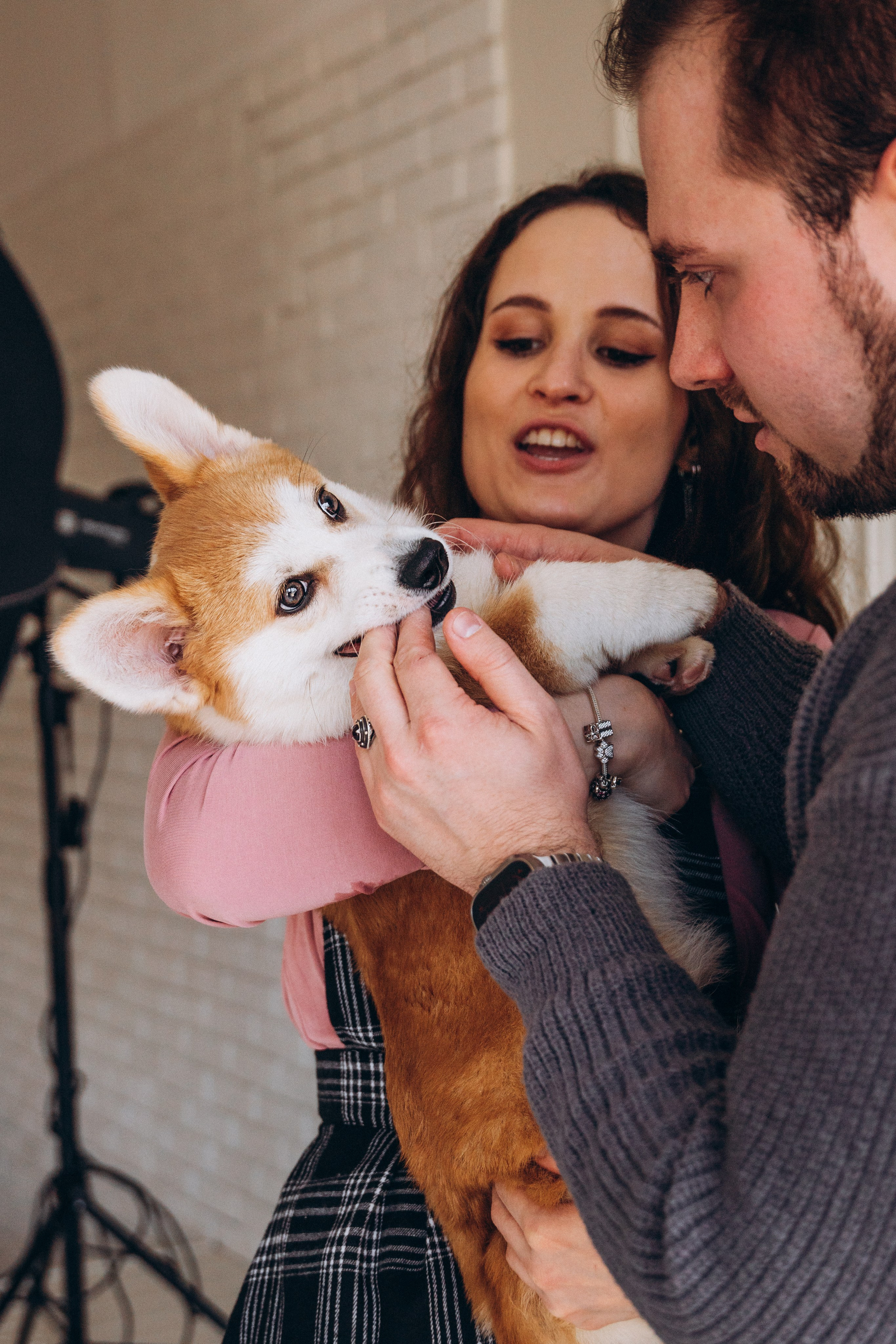 Mars & his Family. Kat Laisaar — Pet photographer in Tallinn