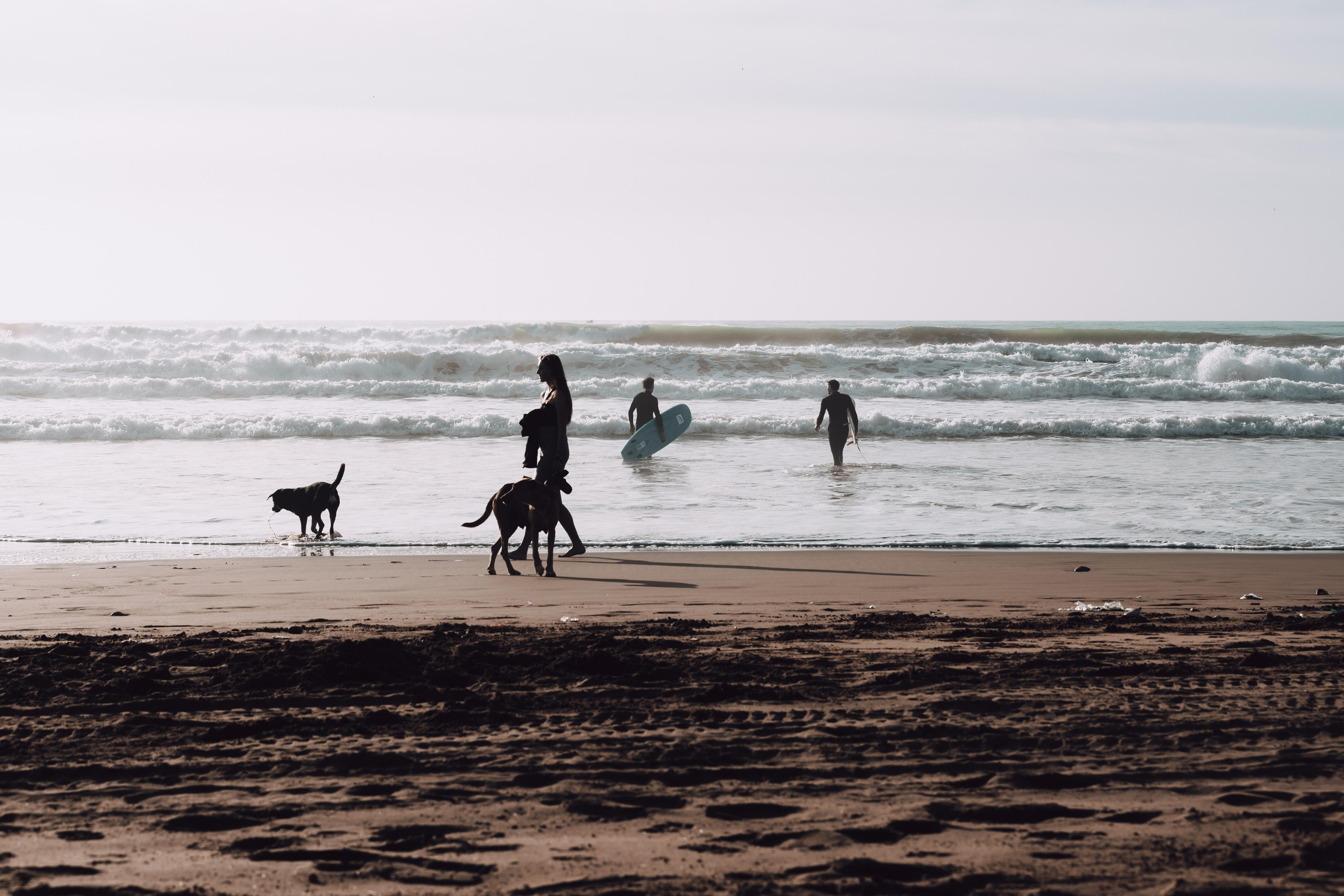 Photos and thoughts from travels. Dana Lišková — Empathetic Photographer | Introspective Artist |Neurodivergent Coach | Founder of Artepy.cz