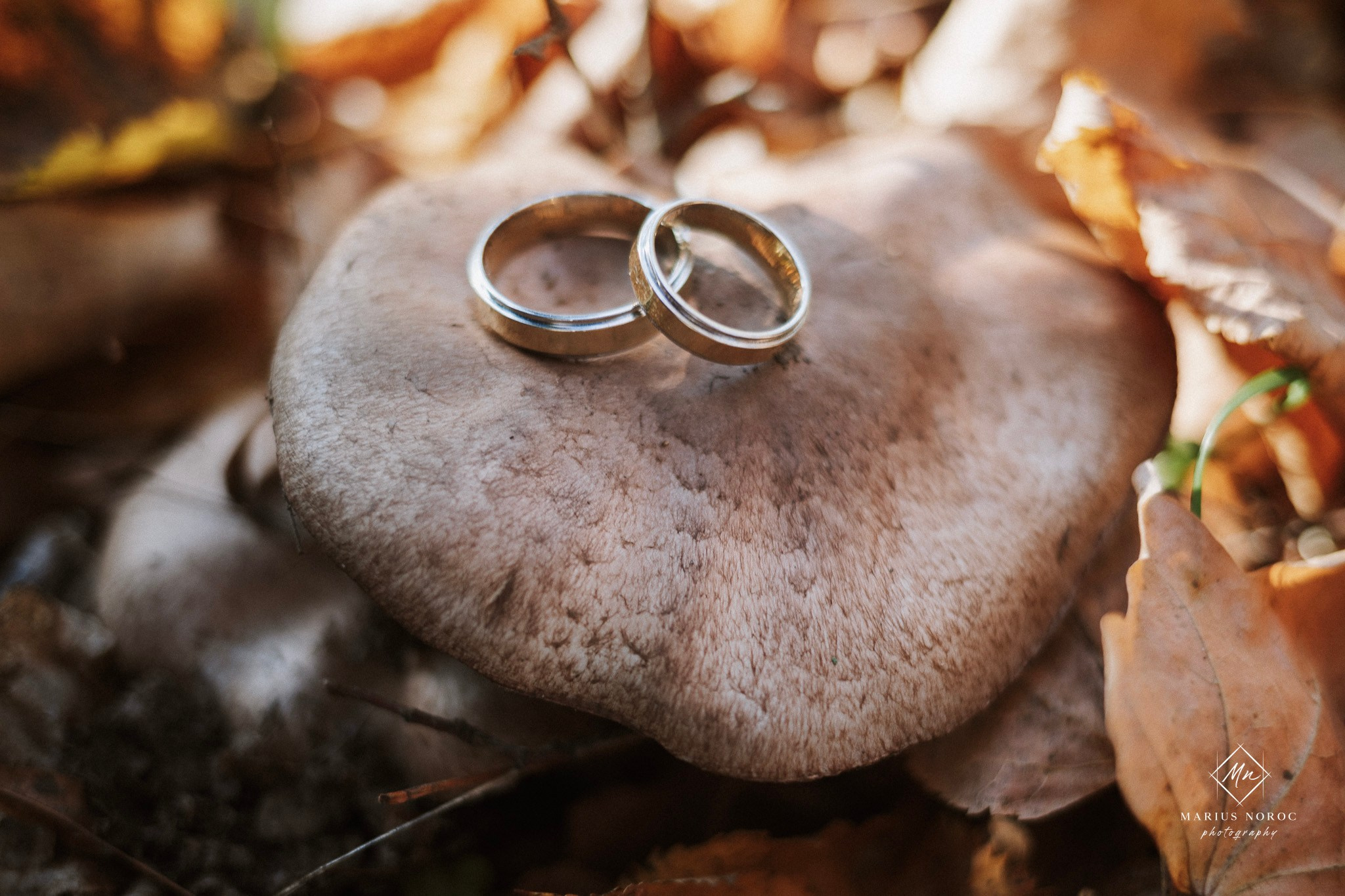 Alexandra & Laurentiu | Padurea Bucium Iasi