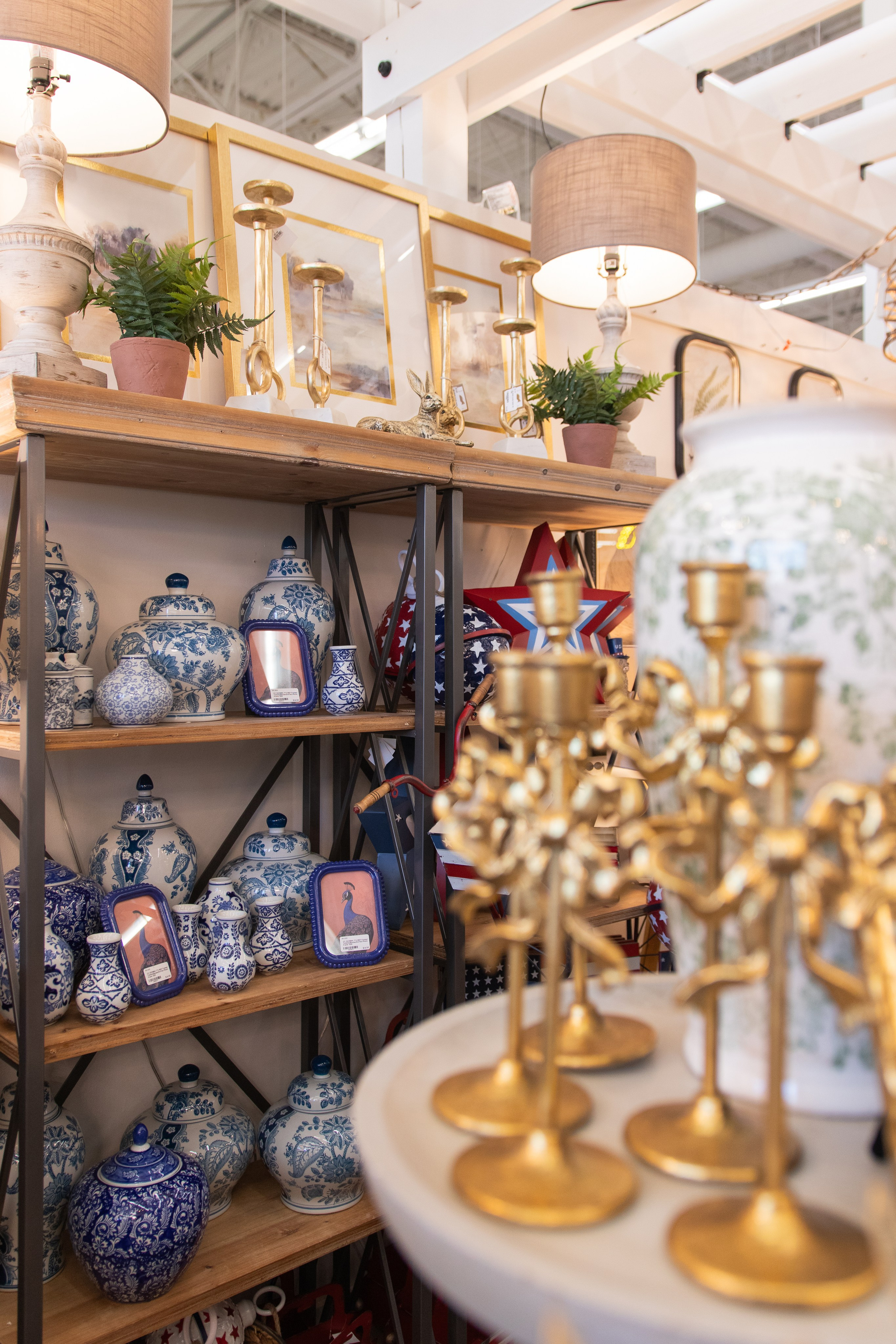 Painted Tree Boutiques winter 2026 retail collection photoshoot in Round Rock