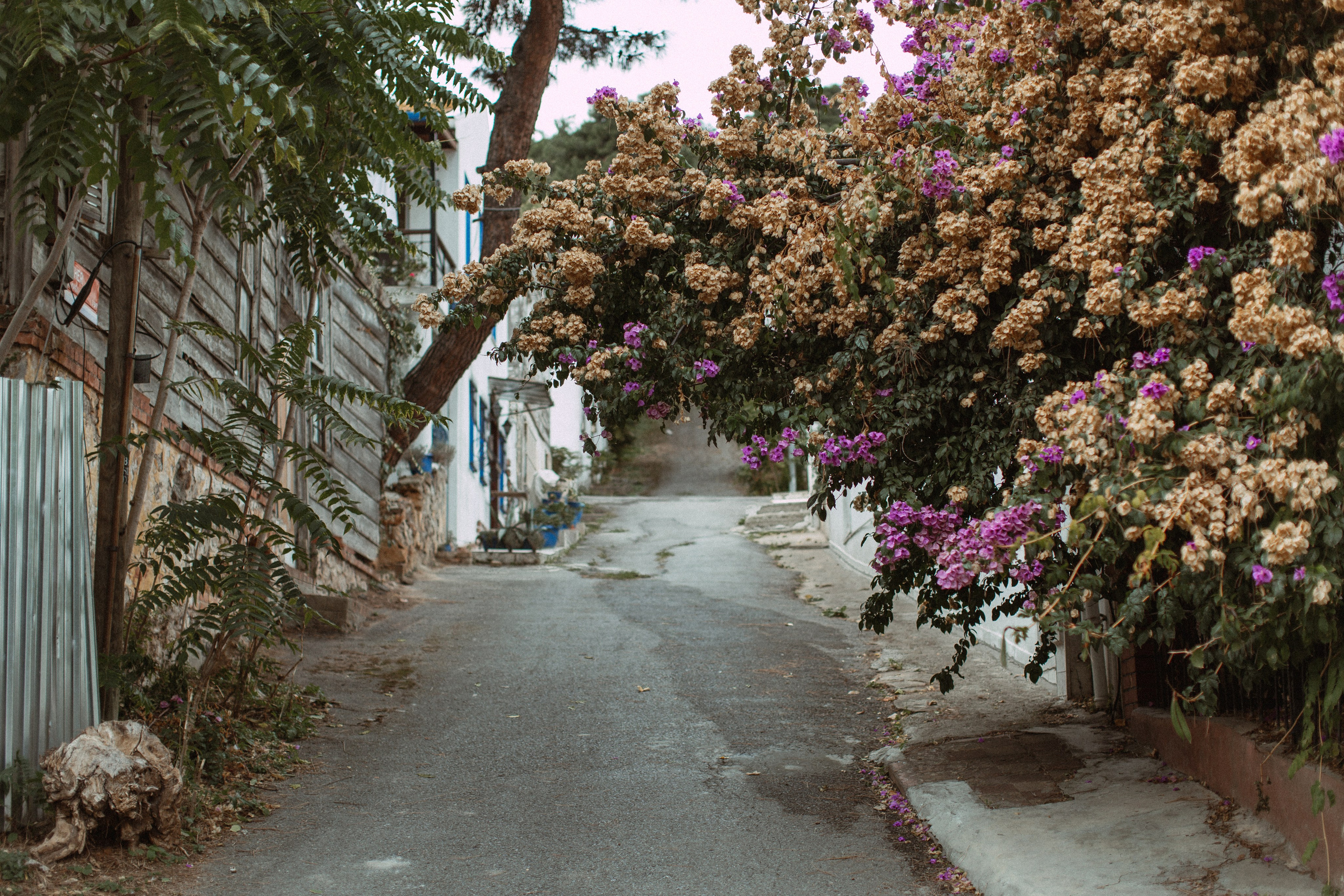 Татьяна. Отпуск на Принцевых островах. True self