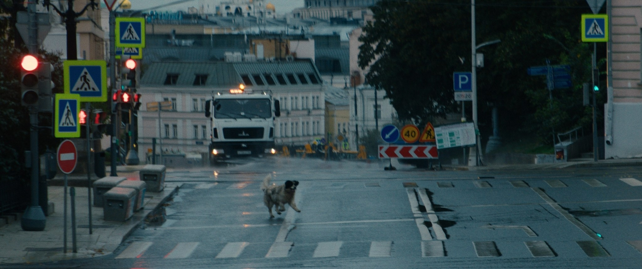Doctor Gaf | Film. Ilia Ivanov
