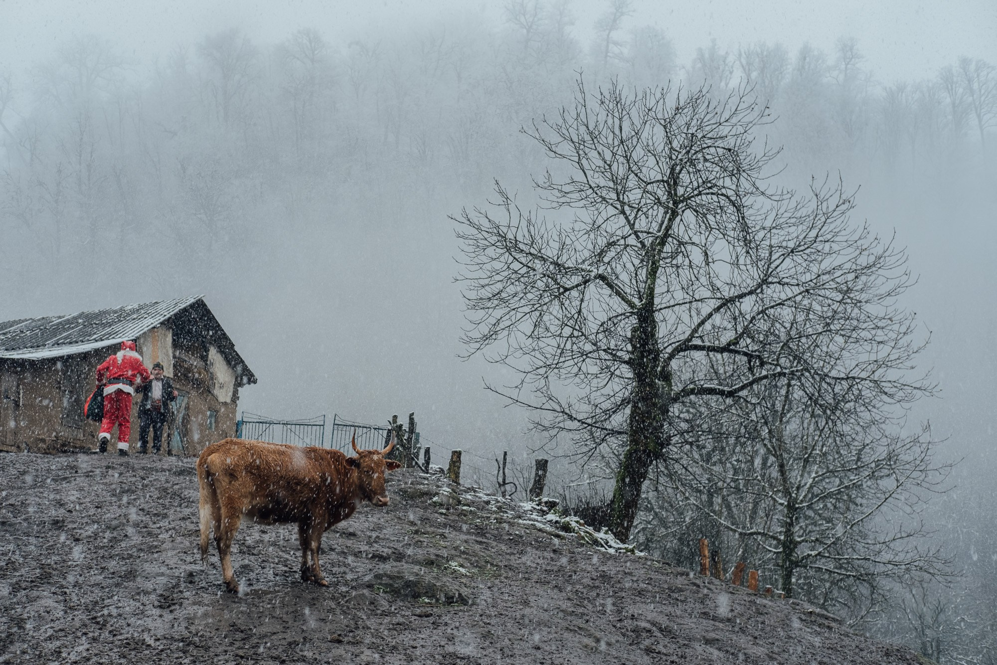 Şaxta Baba Ucqar Dağ Kəndlərində - Sosial Layihə. Bakıda Peşəkar Tədbir, Love Story və Təbiət Fotoqrafı — Elşən Baba