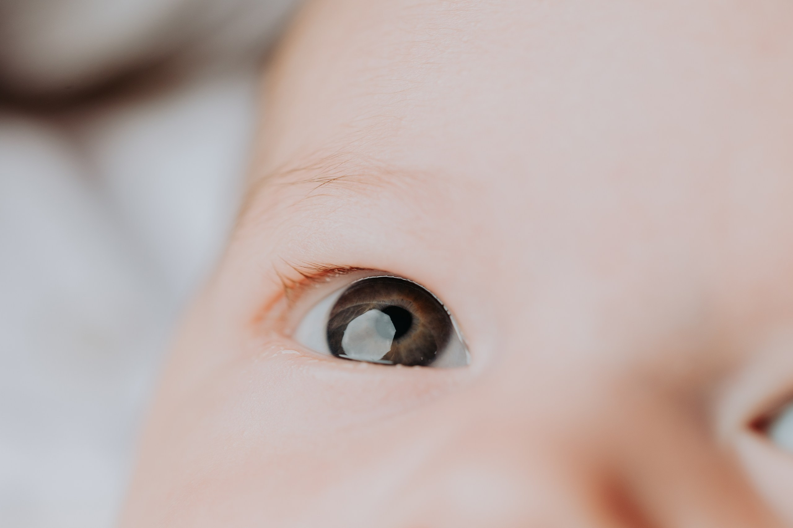Fotograf Baby Drobeta-Turnu Severin | Ședințe Foto Bebeluș