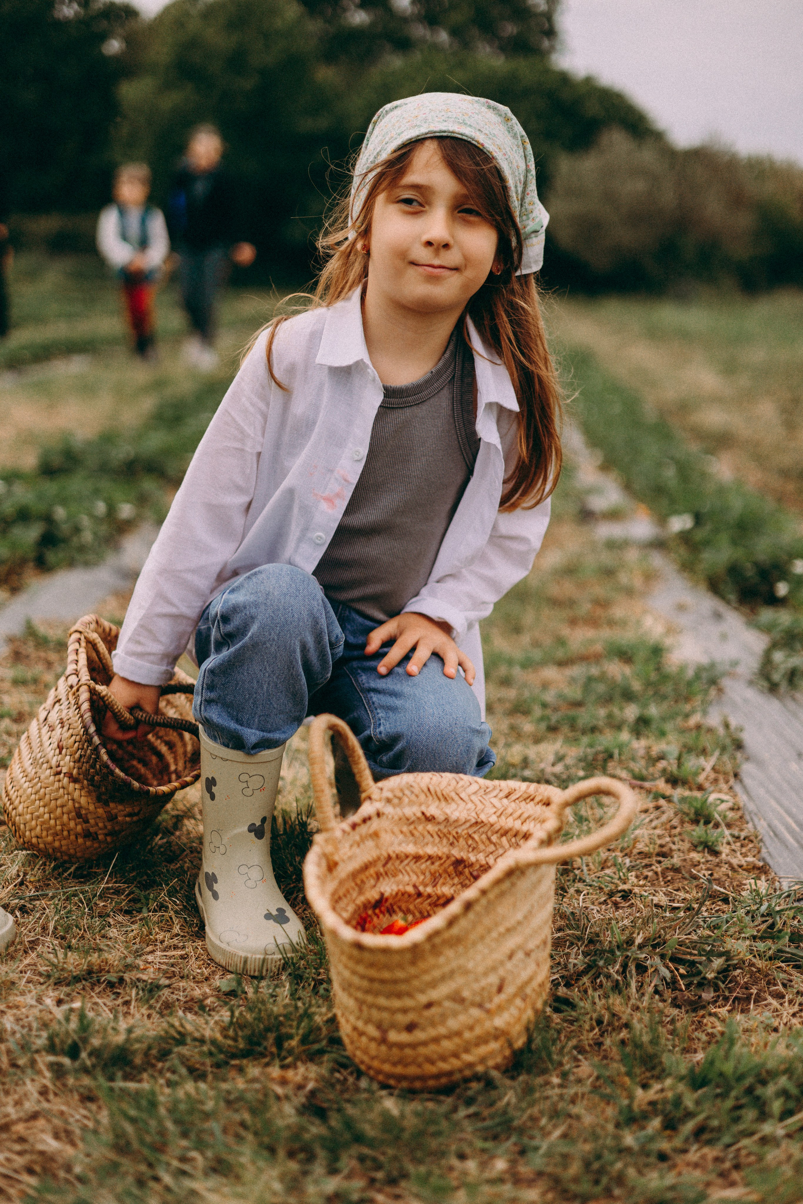 Cueilette fraise. Photographe en Côte d’Azur