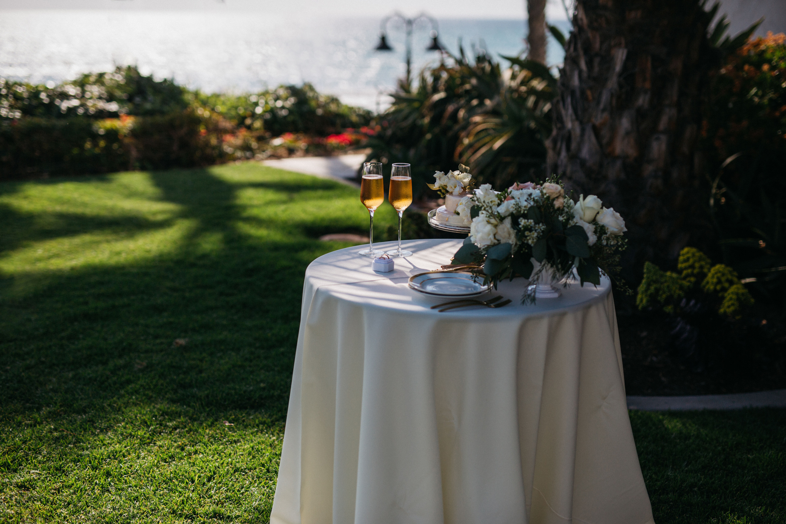 James & Alina. Wedding photography in San Diego