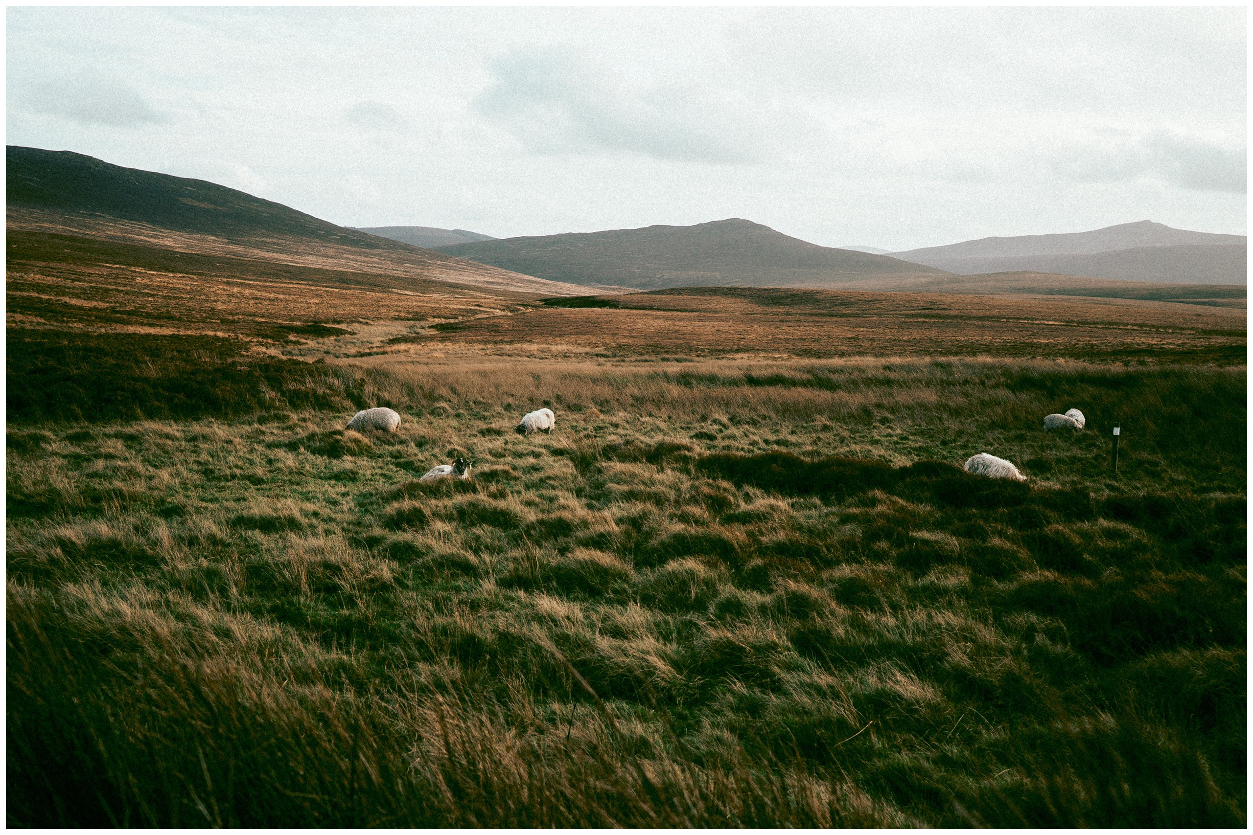 IRELAND. Inna Mendelson — Photographer