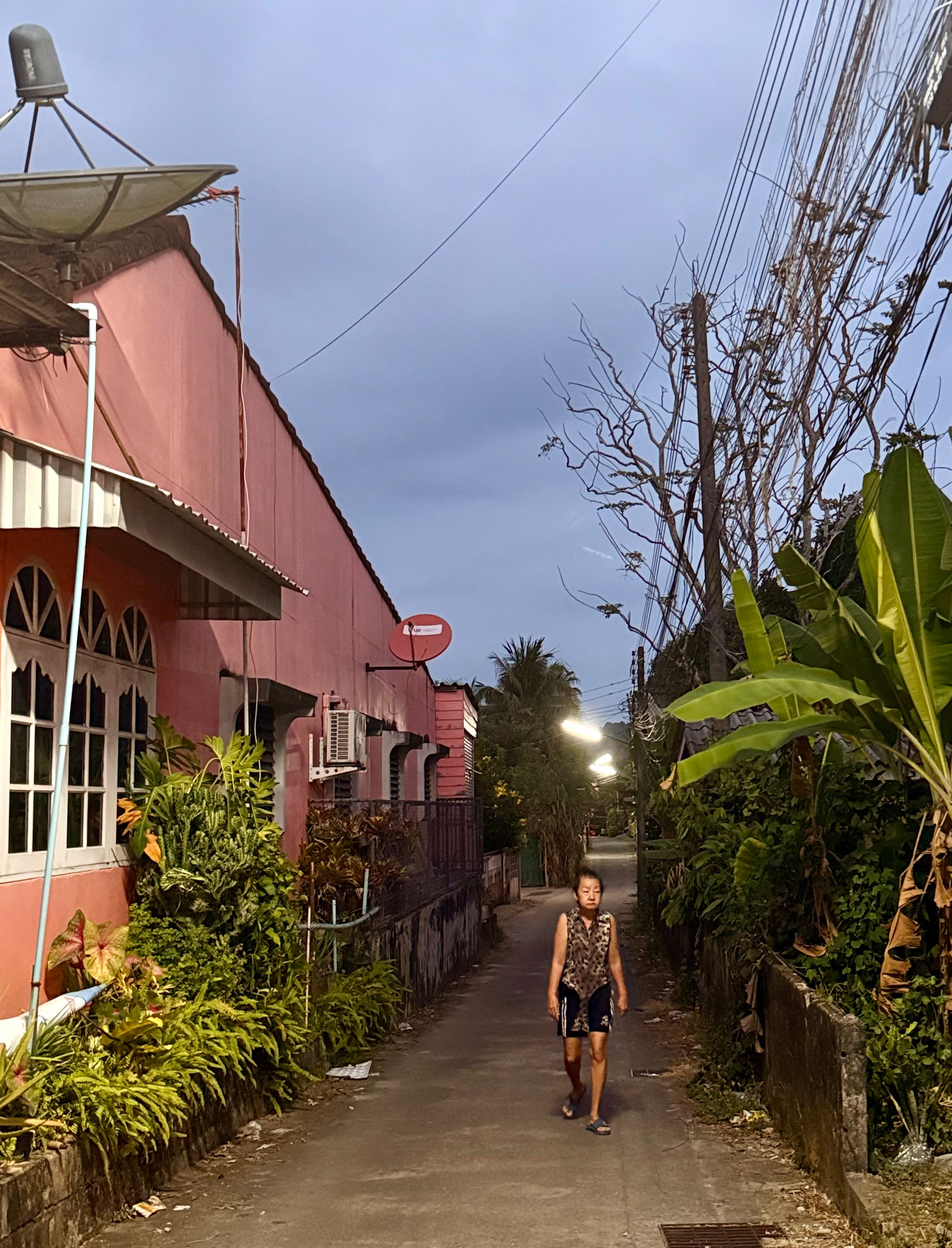 Phuket_2024/2025. Портретный фотограф Алена Новгородцева