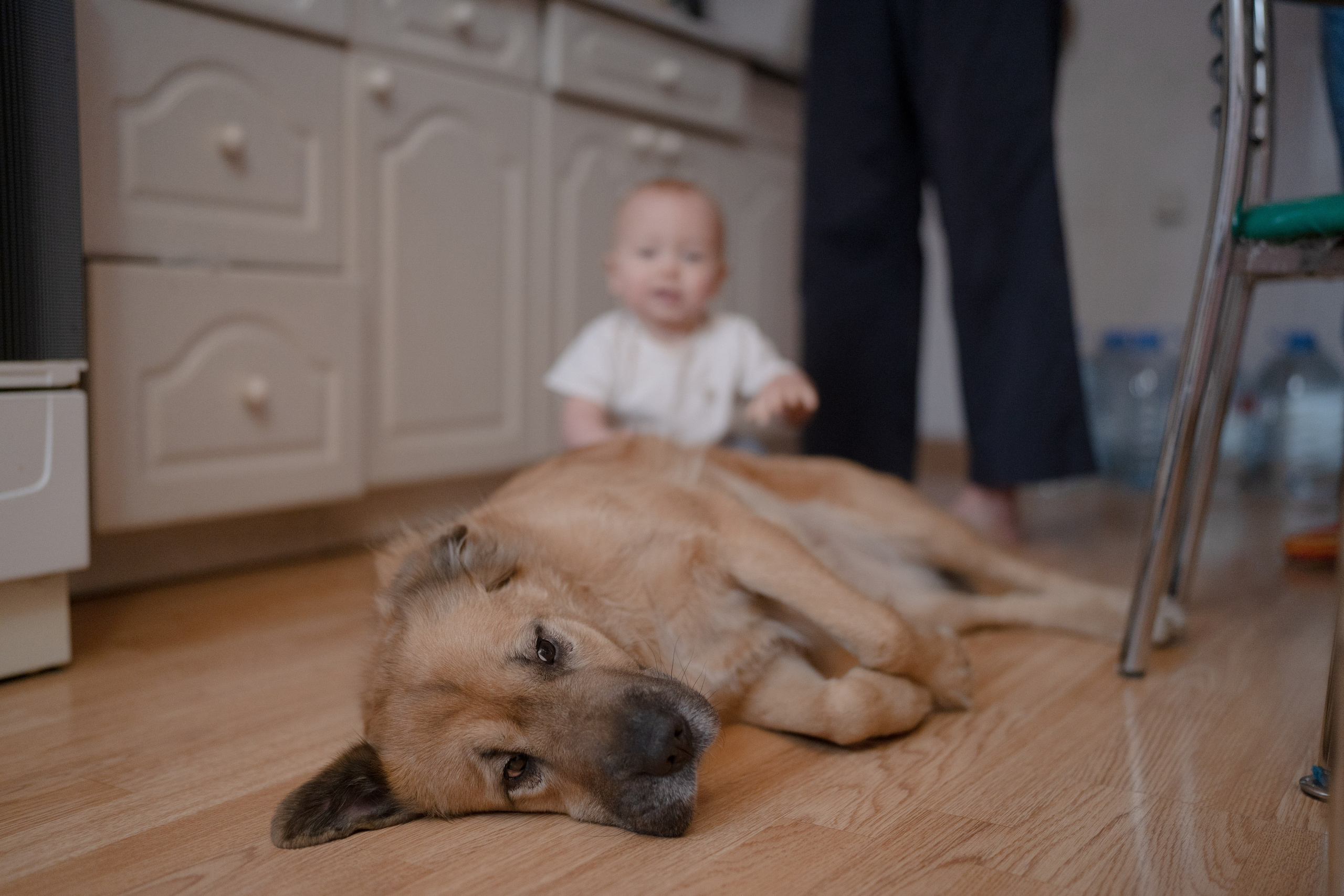 Alena, Vlad and their son Lev. Main