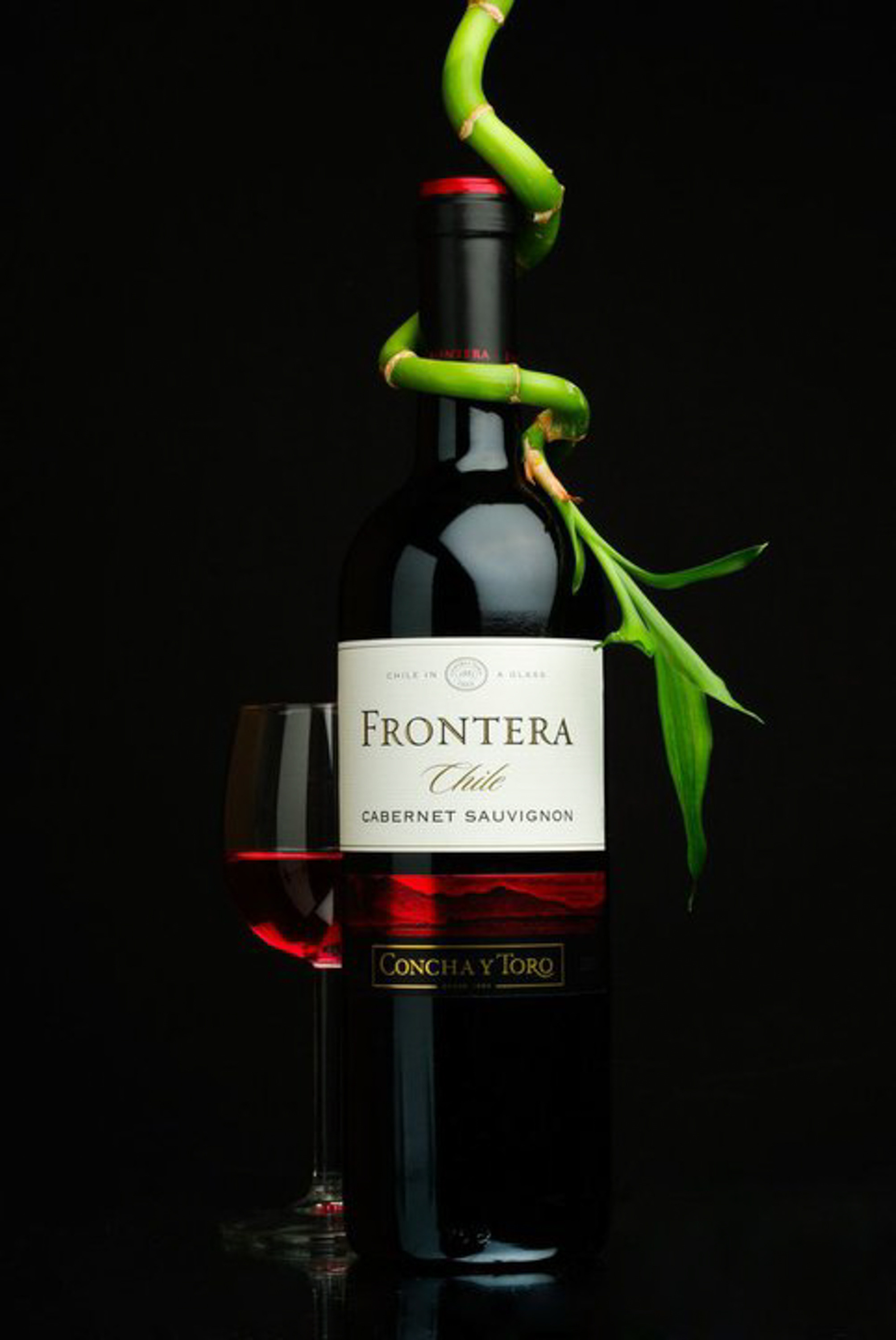 Рекламная. Свадебный фотограф Эстонии