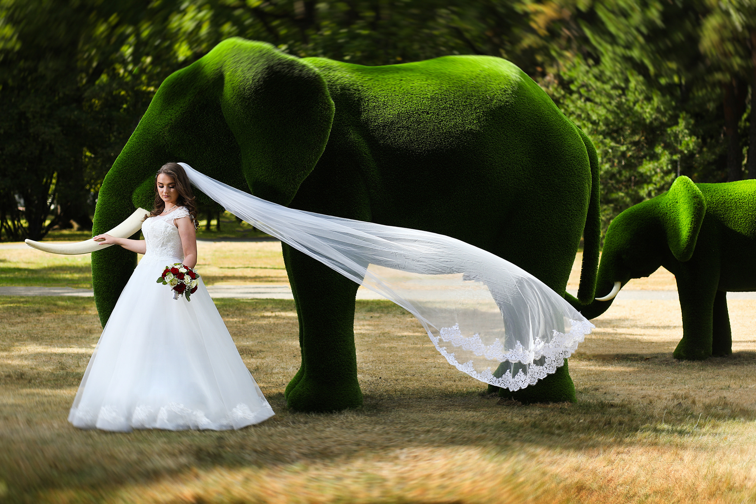Свадебная. Свадебный фотограф Эстонии