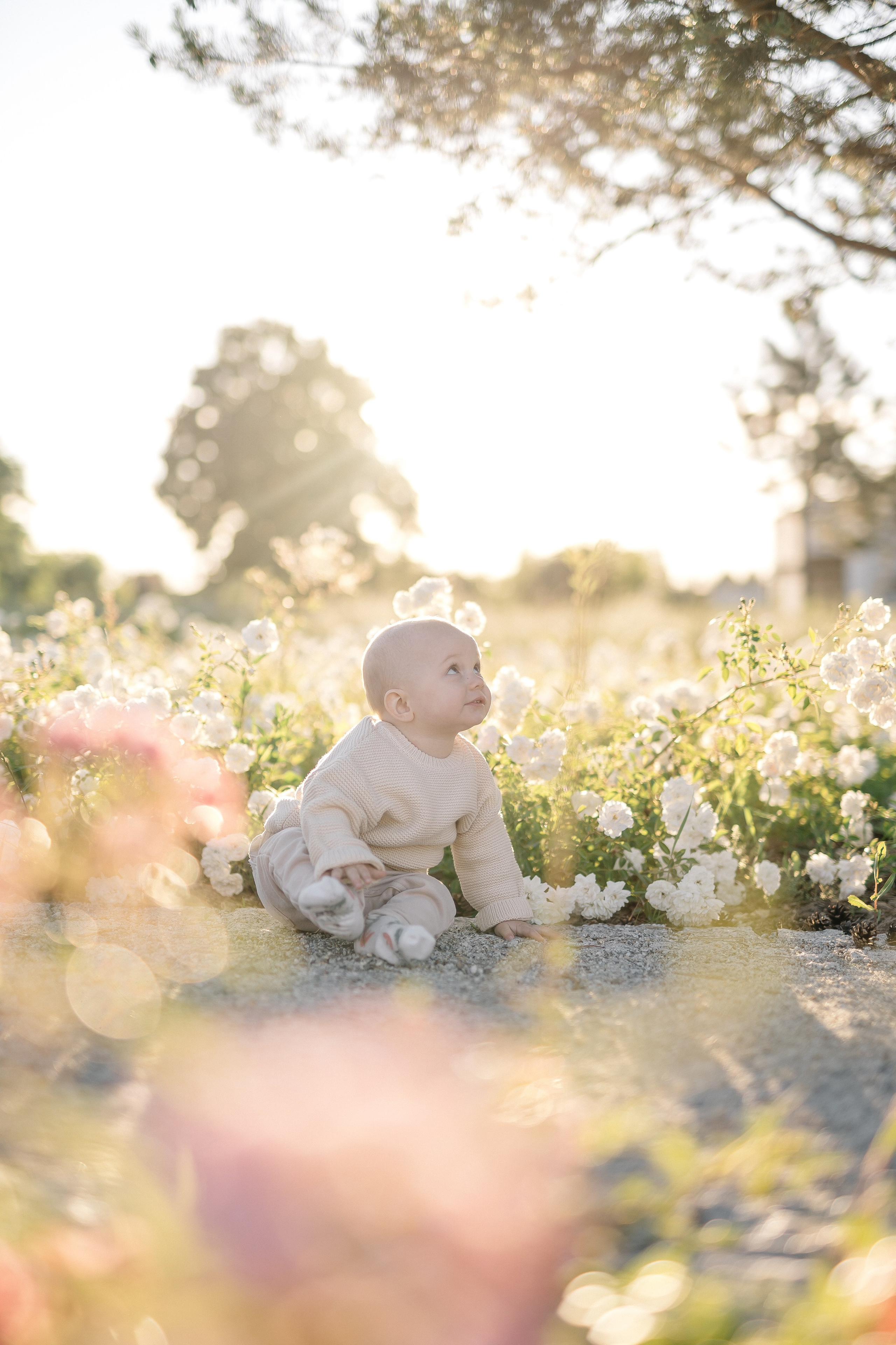 Mini sesja w plenerze. Fotograf Łódź - sesja ciążowa, noworodkowa, dziecięca. Studio w Łodzi