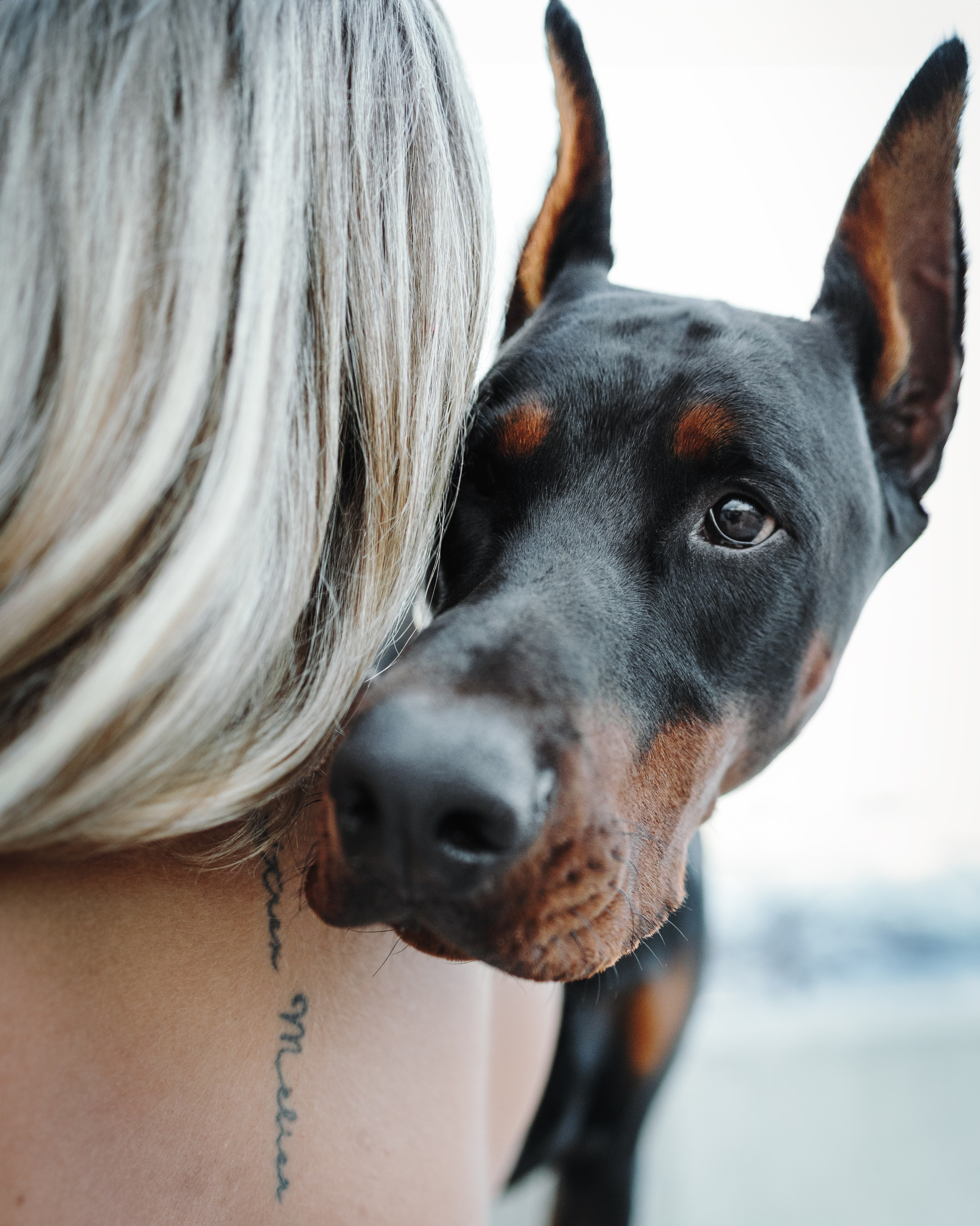 Enzo & Victoriya. Pet Photographer Viktoriya Aleshenko