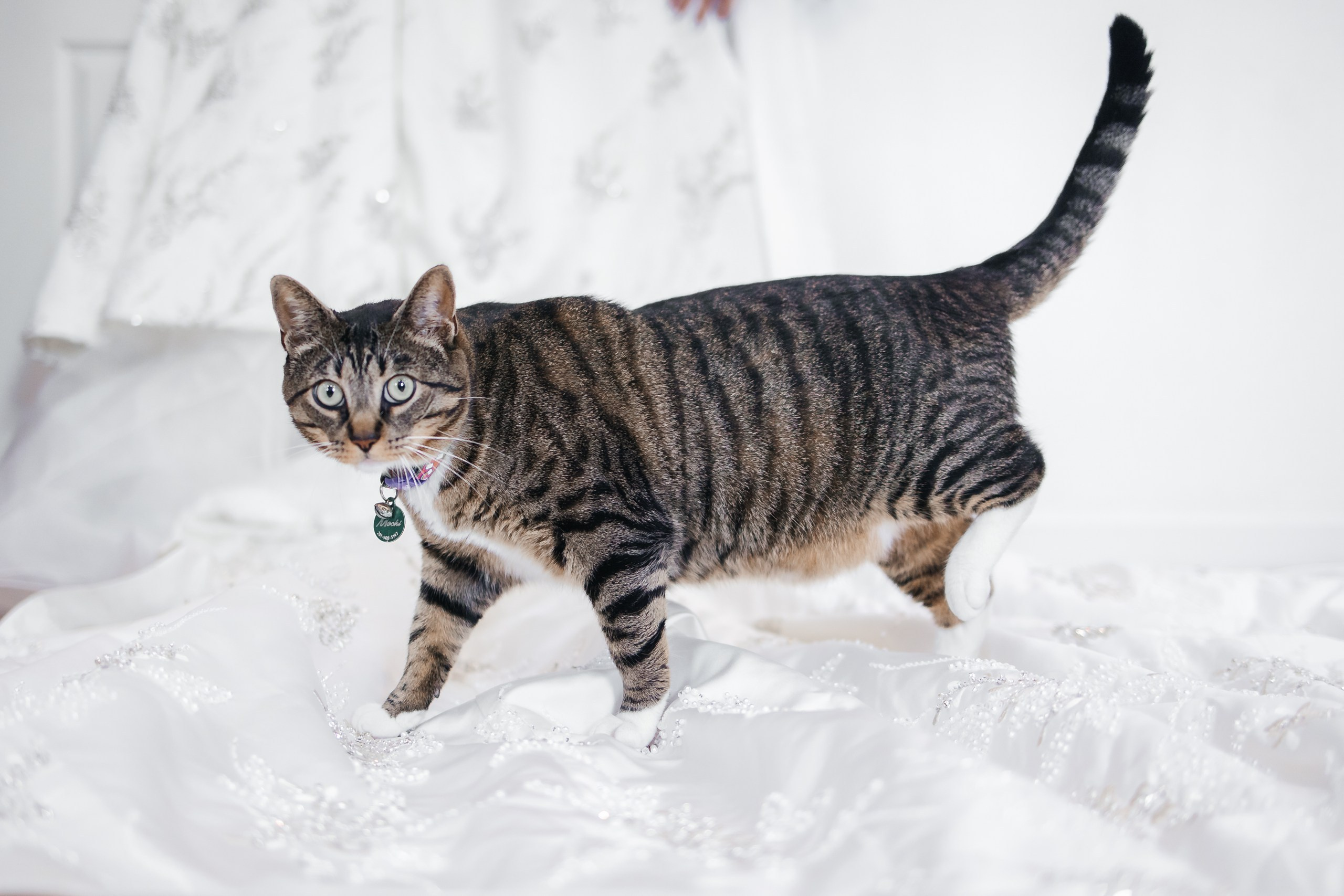 Marah and Omar, The Venetian NJ. Luxury Wedding Photography and Cinematography