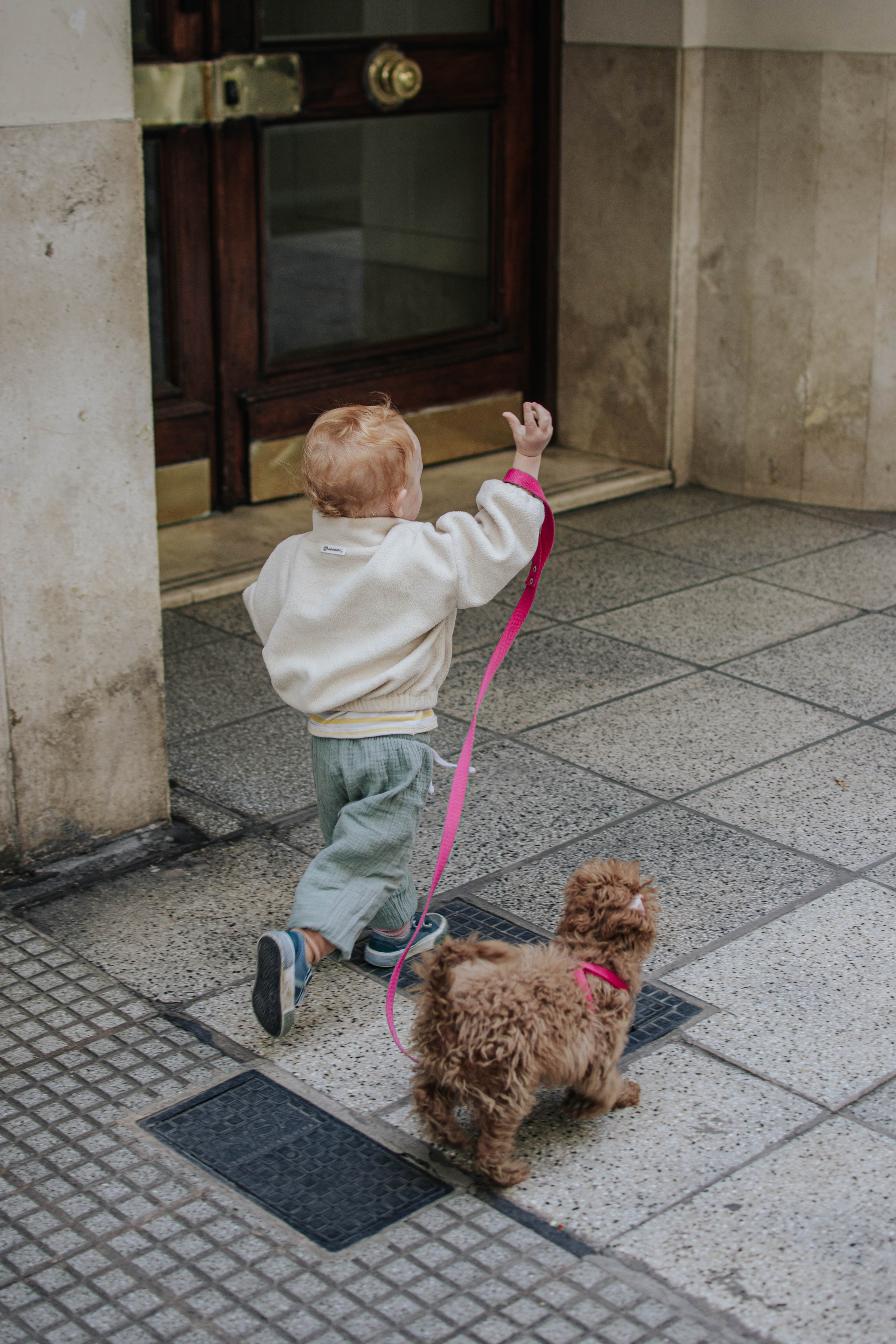 Walking around the home. Buenos Aires. Photography. Photographer @elmirkami in the city of Buenos Aires