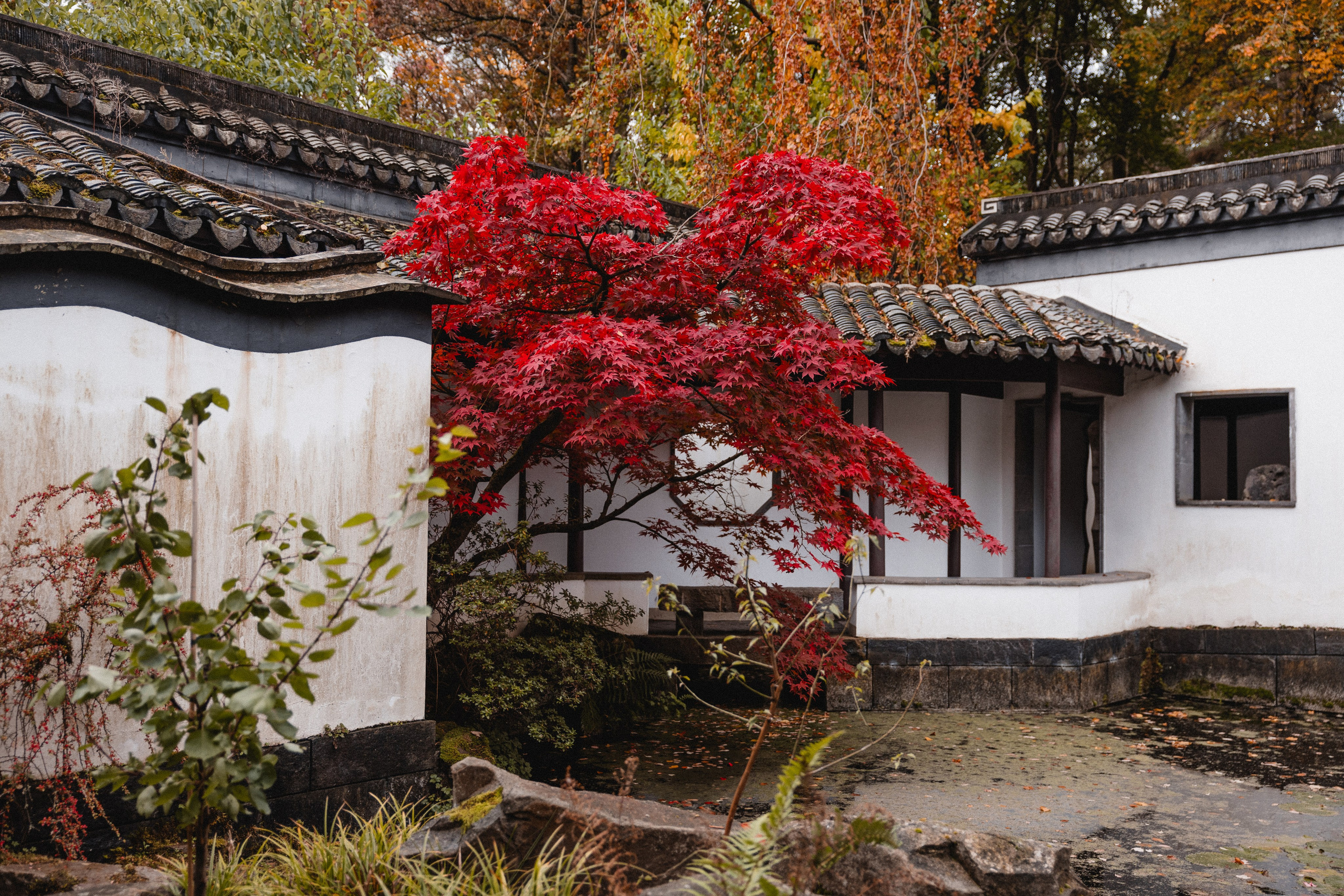 Volodymir & Olha | Rathaus Herne. Hochzeitsfotografie |Hochzeitsfotograf Bochum | Hochzeitsfotograf Dortmund | Hochzeitsfotograf Essen | Hochzeitsfotograf Ruhrgebiet